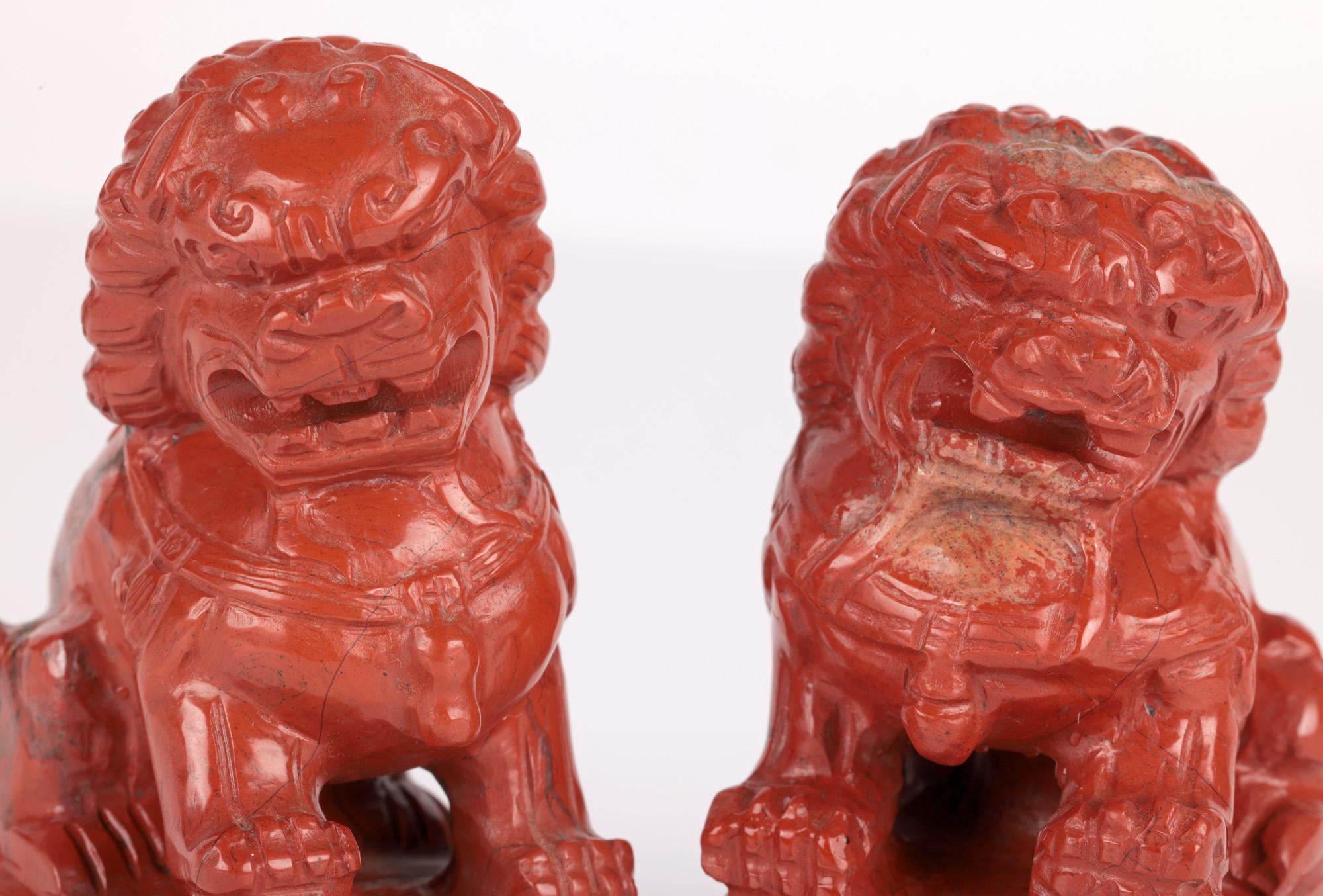 Ein reizvolles und gut geschnitztes Paar chinesischer roter Hartsteinhunde von Foo-Figuren in Miniaturgröße aus der ersten Hälfte des 20. Jahrhunderts. Die Figuren stehen auf einem massiven, handgeschnitzten, rechteckigen Sockel in Form eines