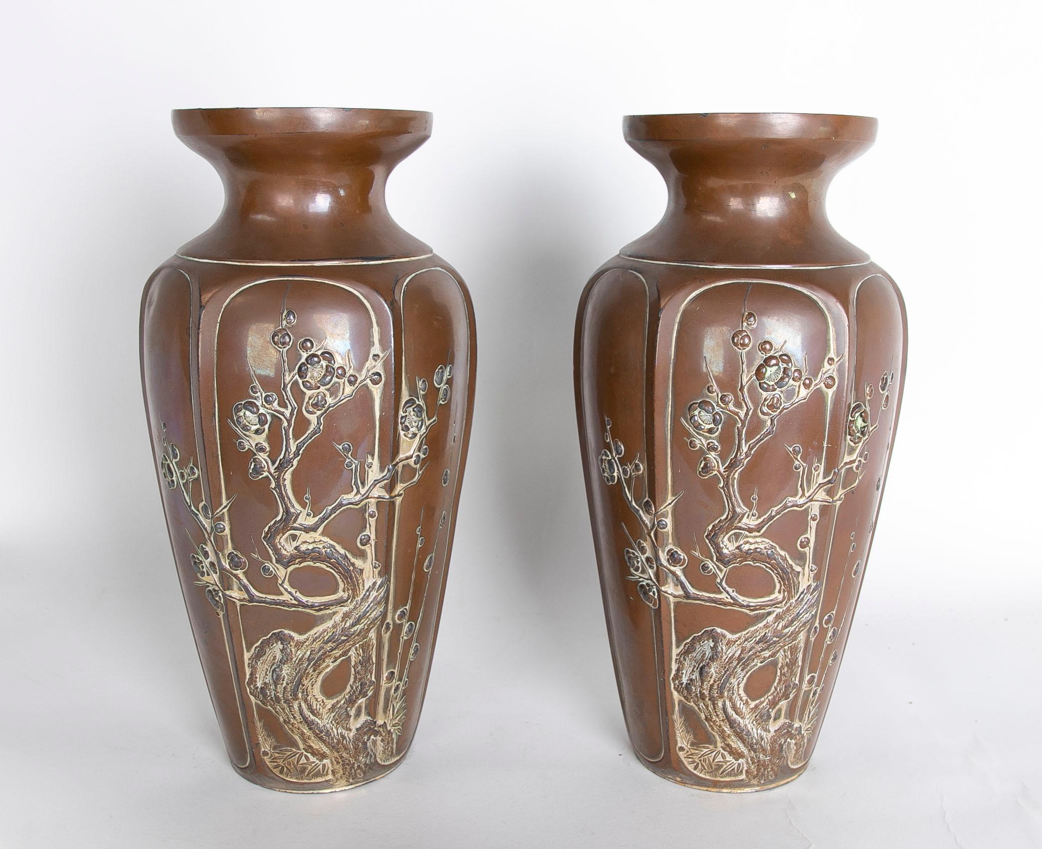 Cinese Coppia di vasi cinesi in ceramica con decorazione di piante nei toni del marrone in vendita