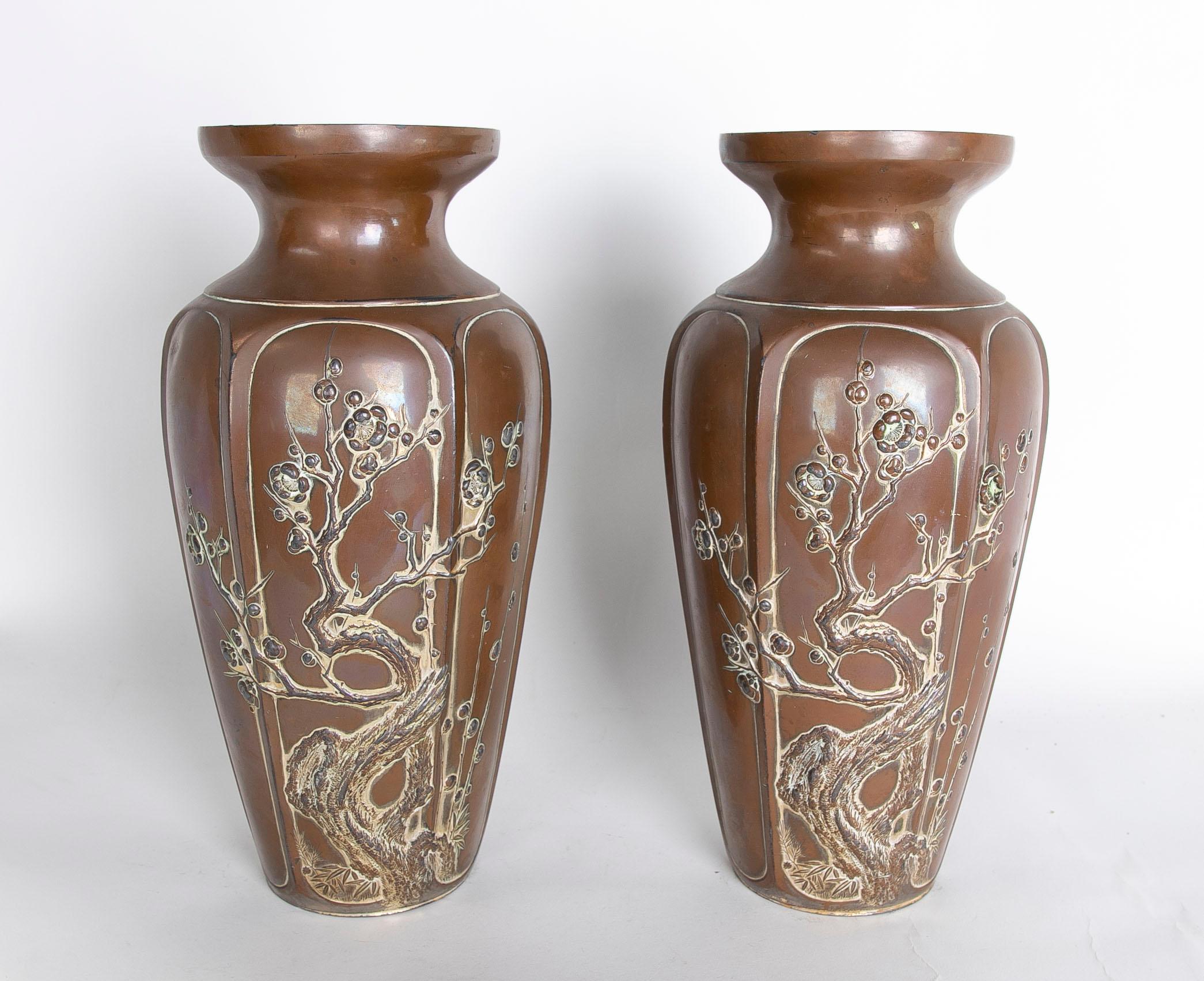 Chinese Pair of Ceramic Vases with Plants Decoration in Brown Tones.