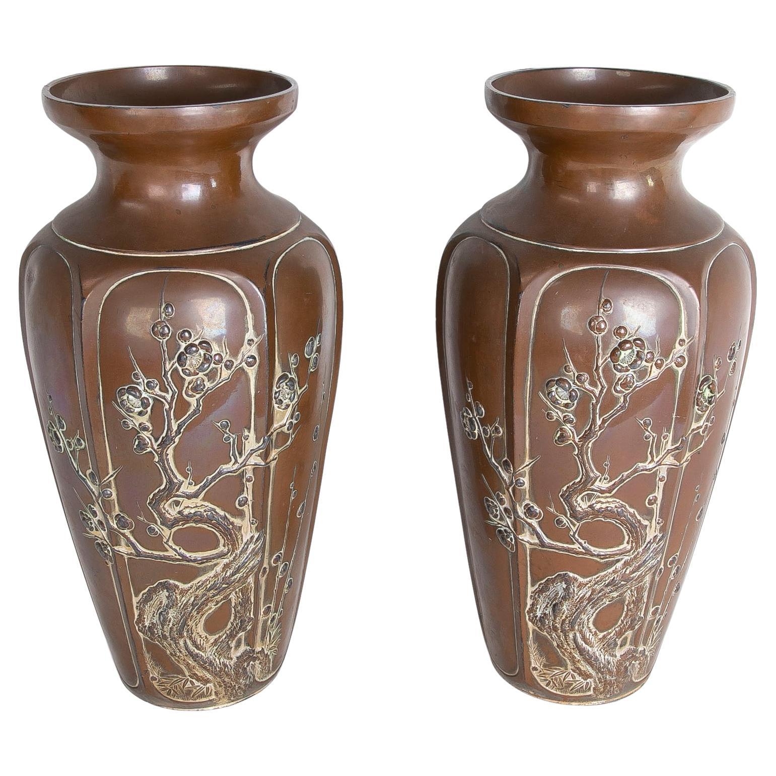 Chinese Pair of Ceramic Vases with Plants Decoration in Brown Tones For Sale