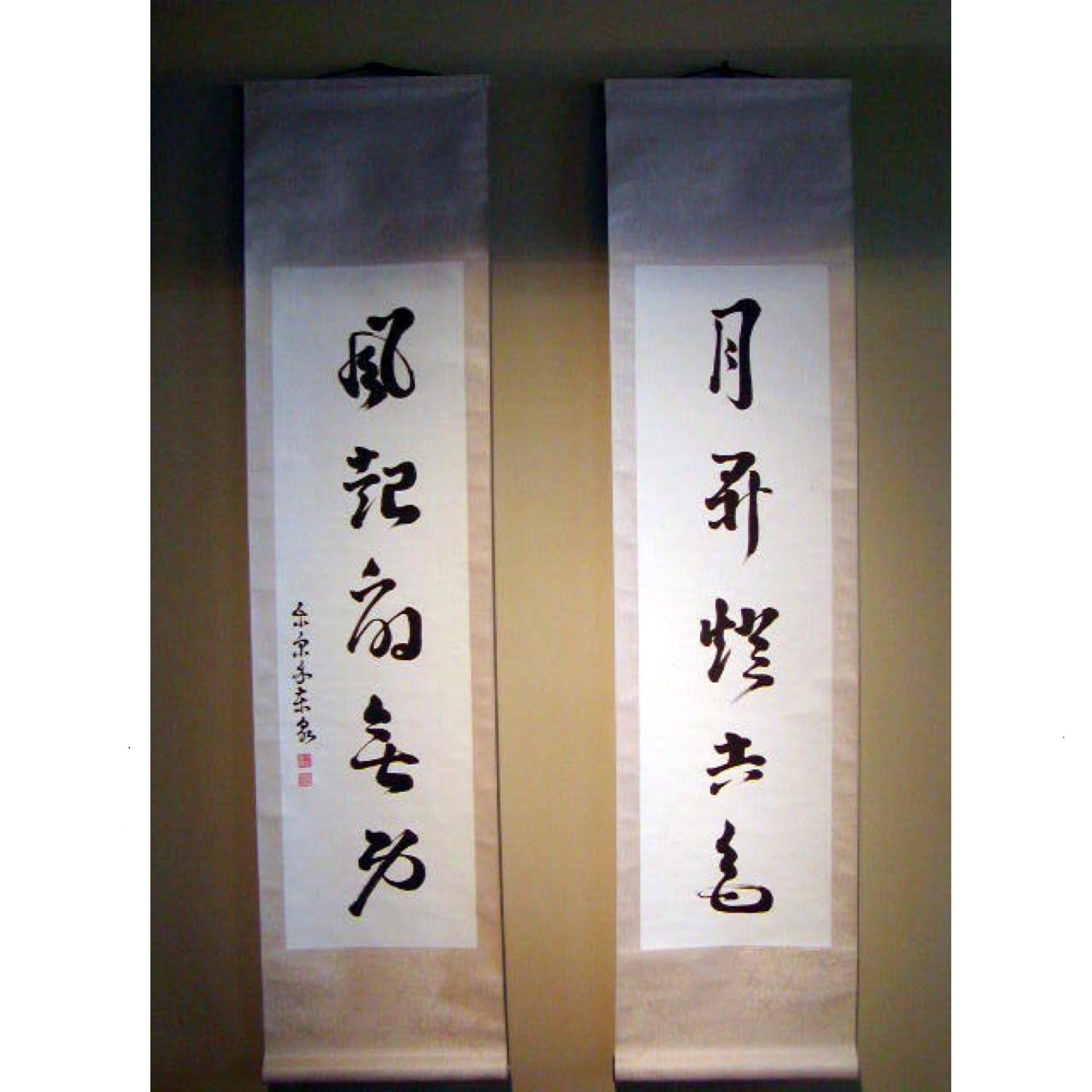 Other Chinese Pair of Poetic Calligraphy Scrolls by Luo Er Dong Zhuang For Sale