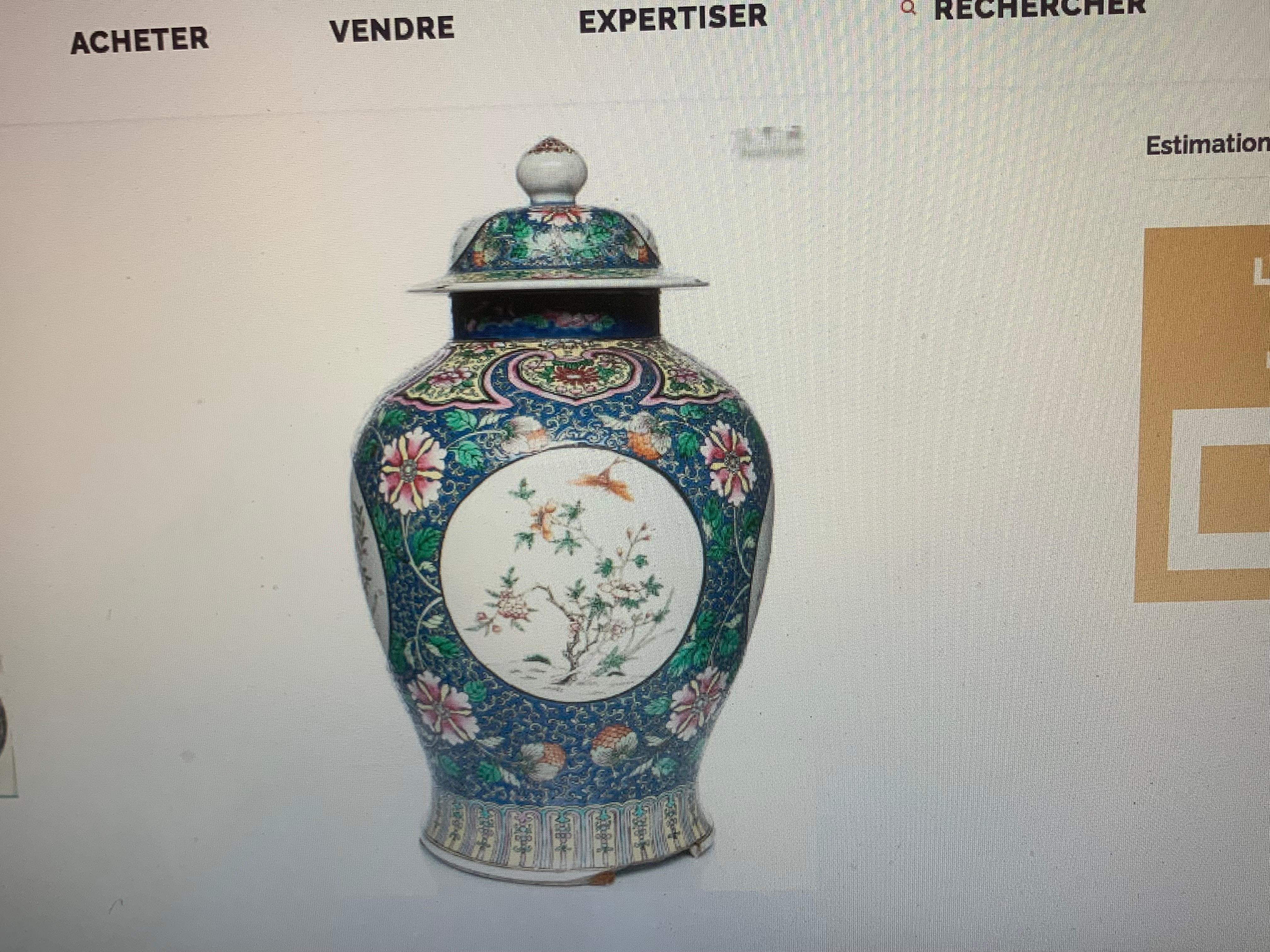 French Chinese pair of vase porcelain For Sale