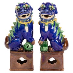 Paar chinesische, handbemalte Foo-Hunde aus Qing-Porzellan