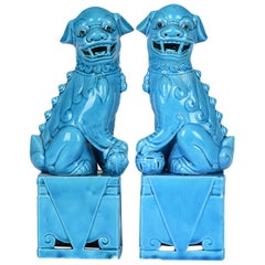 Coppia cinese di cani Foo montati in porcellana smaltata color turchese