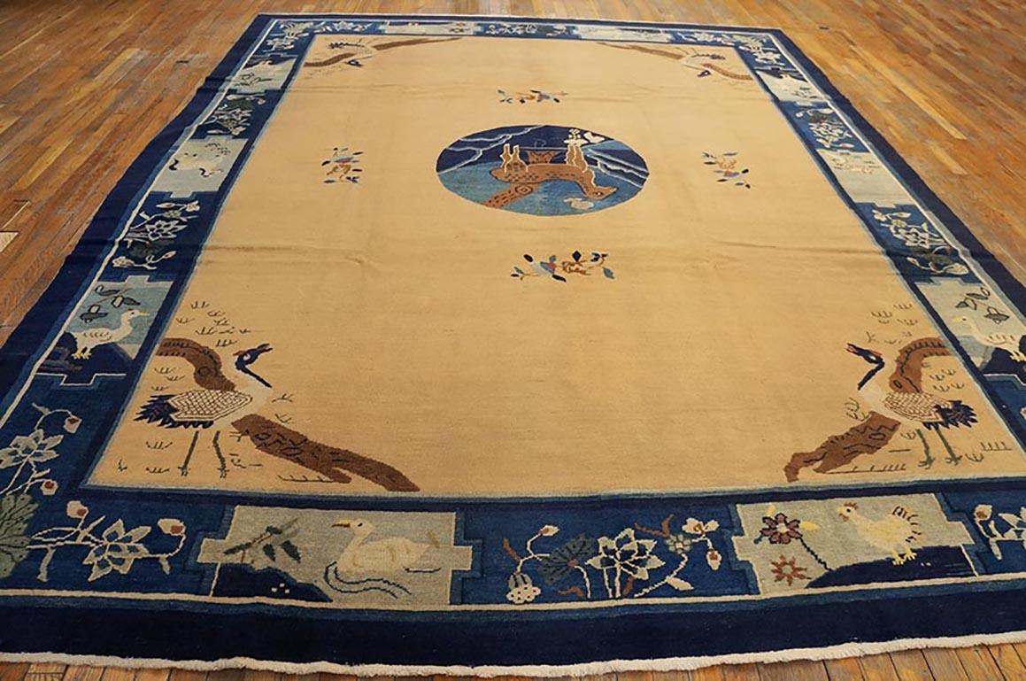 Antique Chinese - Peking rug 8'10