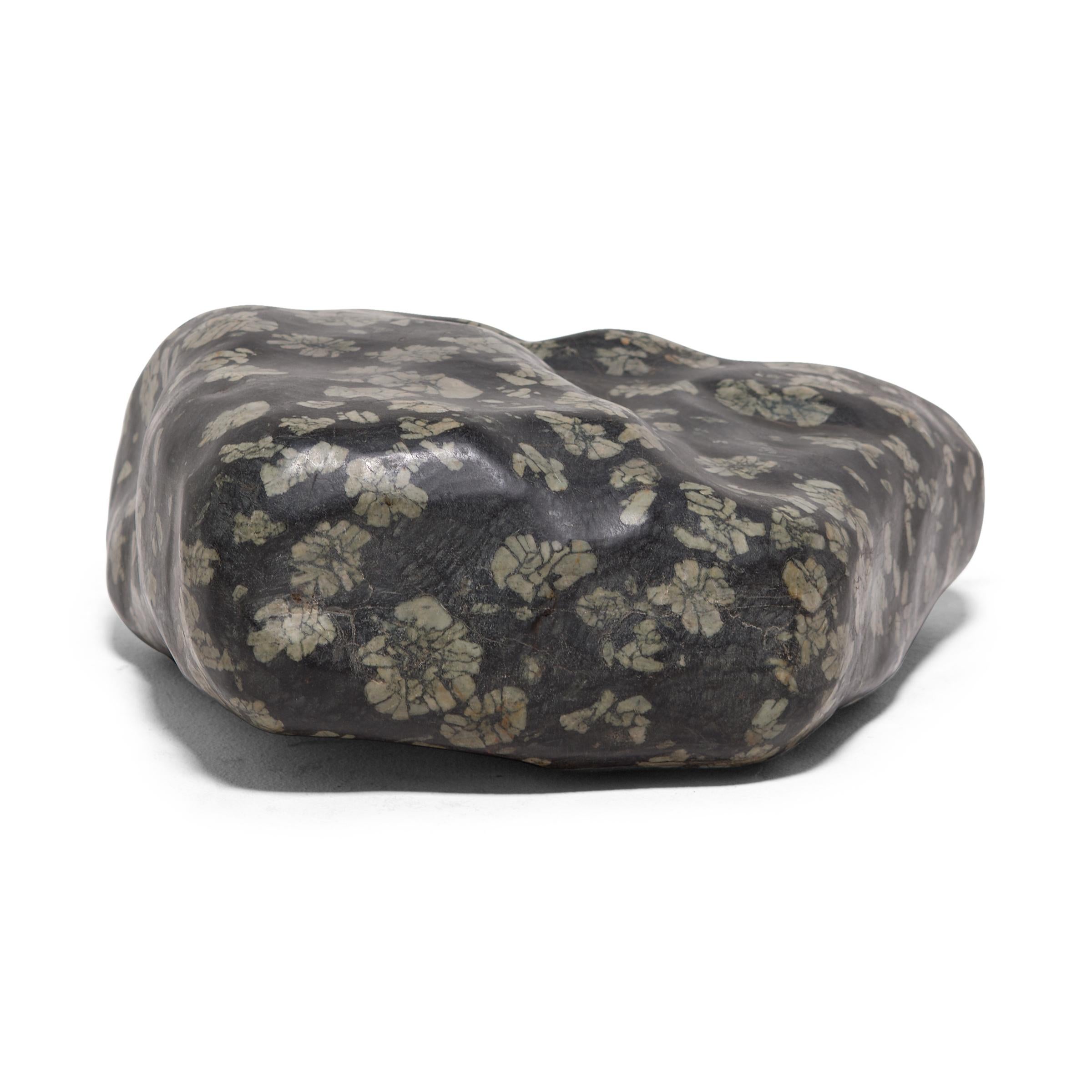 Sourced from Henan province, this amazing stone looks as if it were sprinkled with a flurry of peony blossoms, the result of flower-like aggregates of lighter-colored feldspar incorporated into the stone’s dark, fine-grained ground. Polished silky