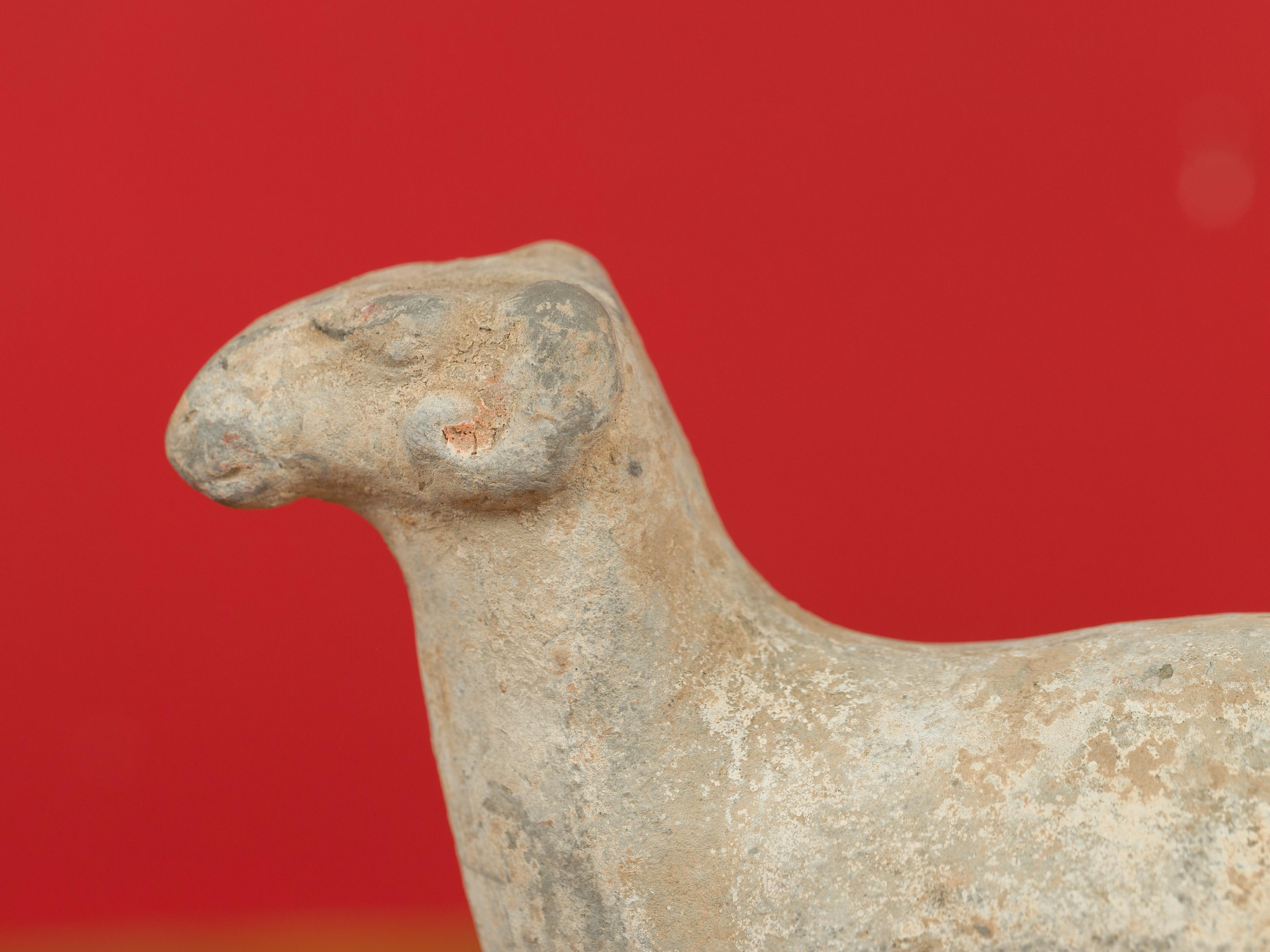 Chinese Petite Han Dynasty Terracotta Sheep Mingqi, circa 202 BC-200 AD 5