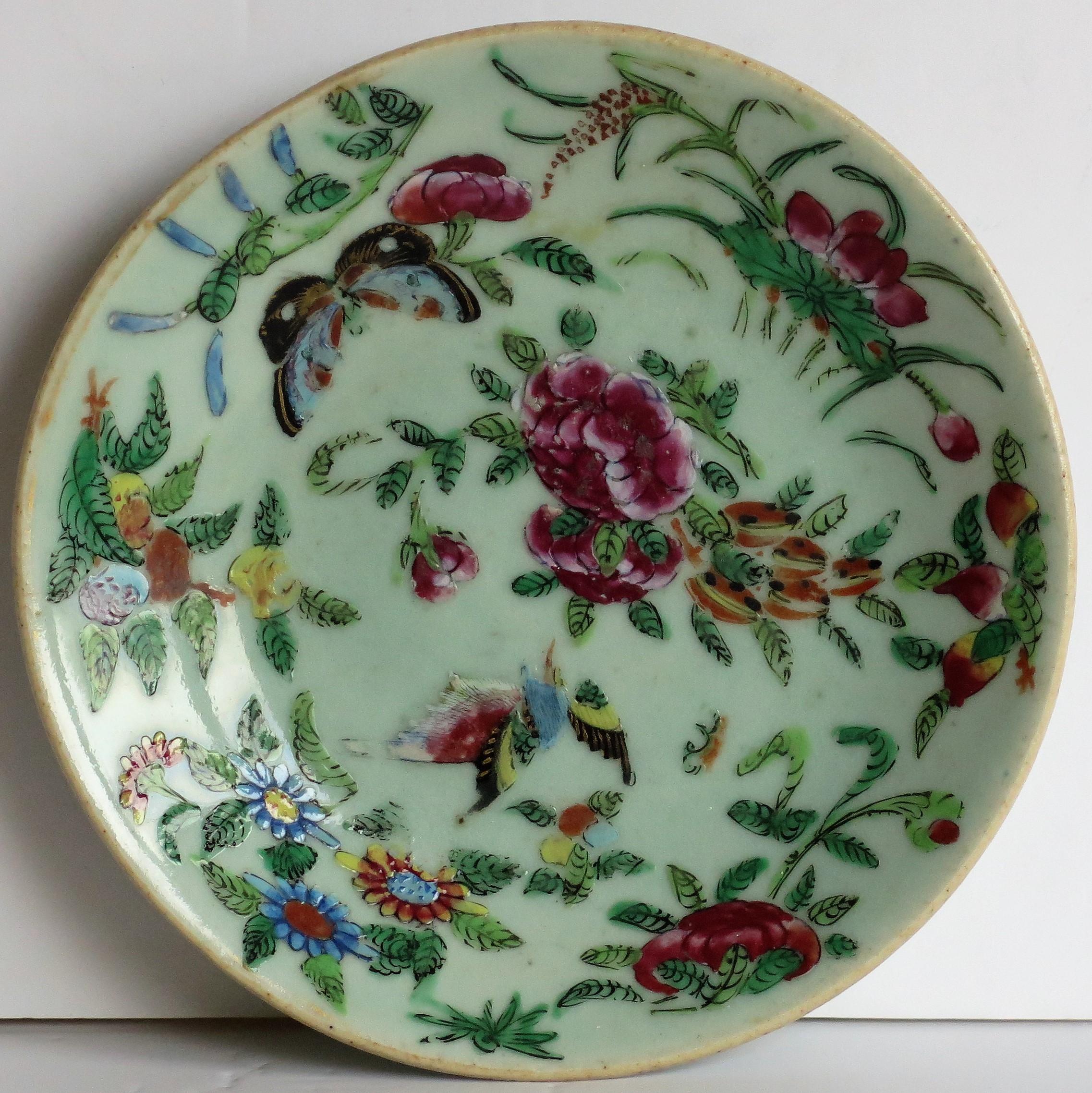 Chinese Porcelain Dish or Plate Celadon Glaze Hand Painted, Qing, circa 1820  4