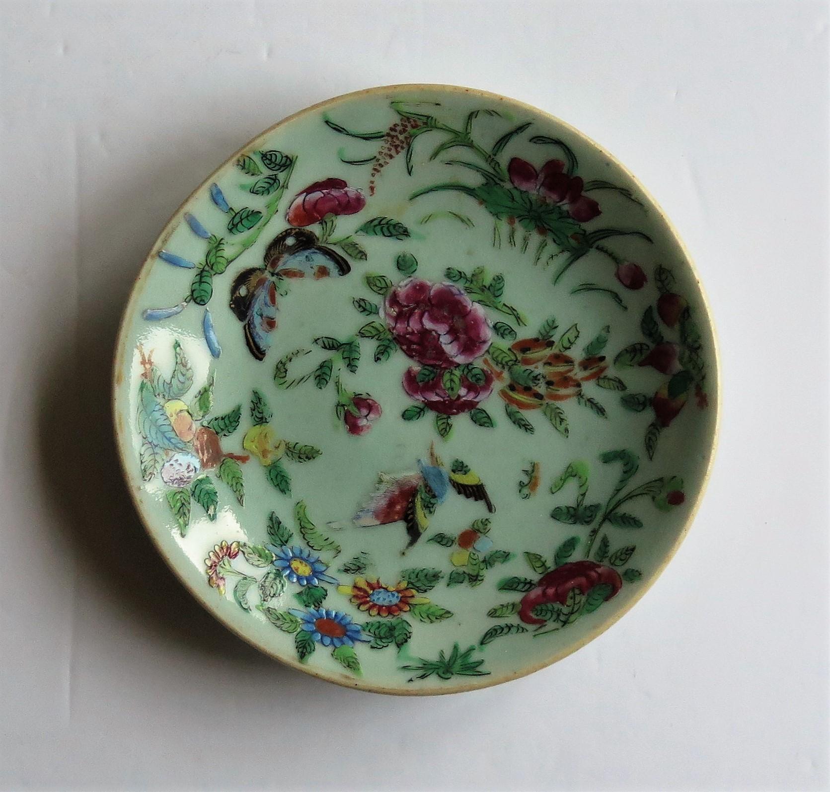 Chinese Porcelain Dish or Plate Celadon Glaze Hand Painted, Qing, circa 1820  5