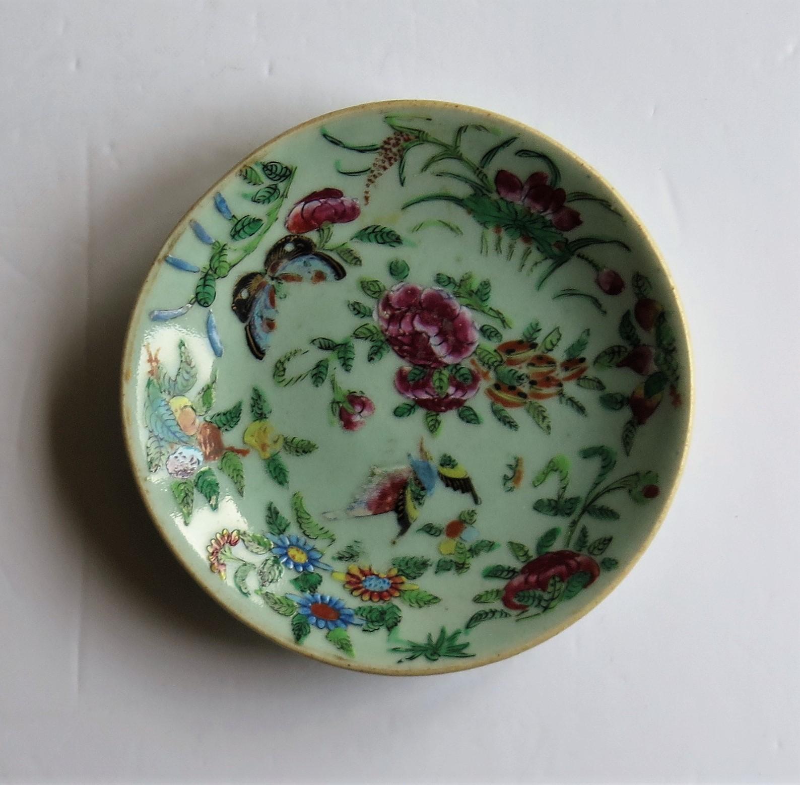 Chinese Porcelain Dish or Plate Celadon Glaze Hand Painted, Qing, circa 1820  6