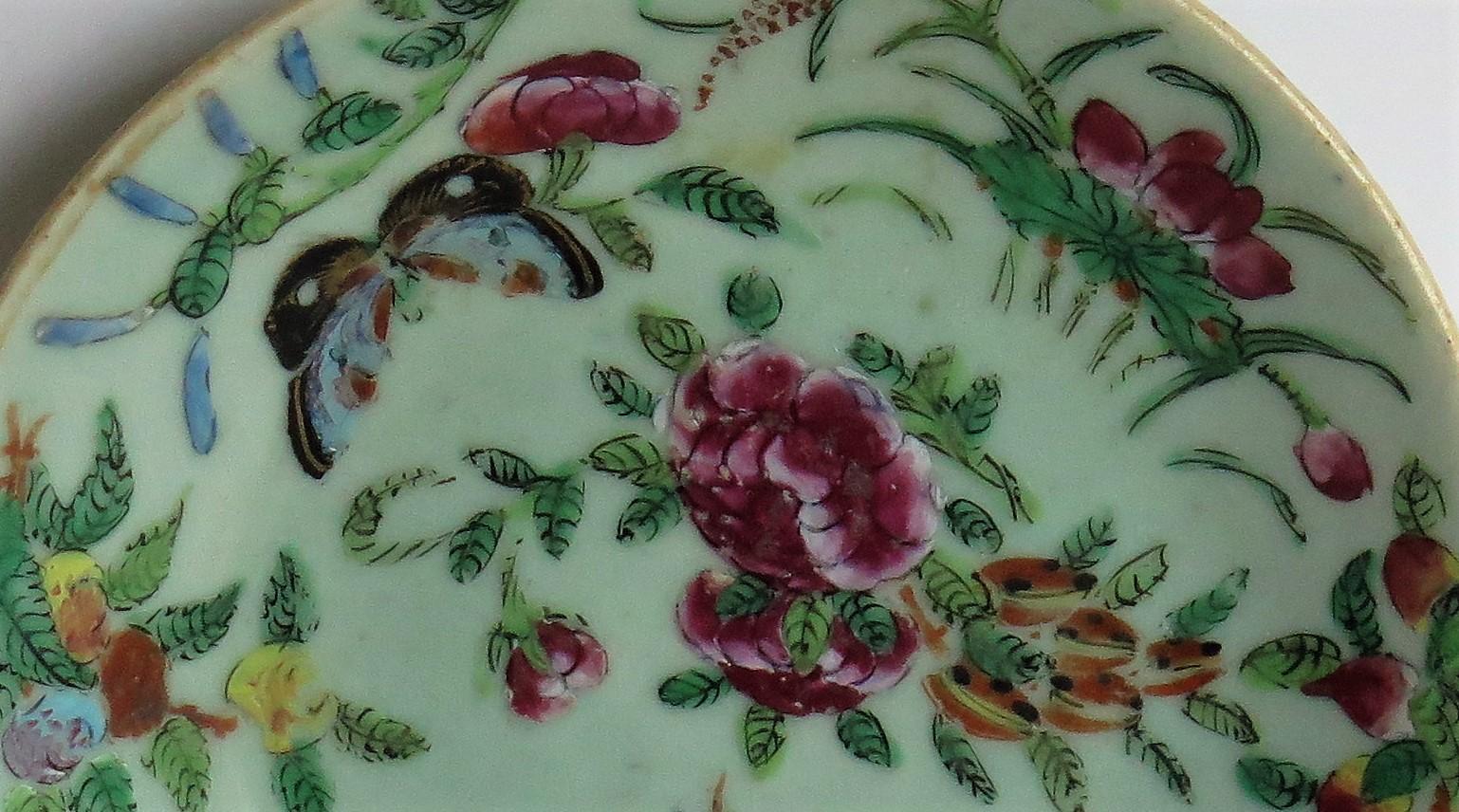 Chinese Porcelain Dish or Plate Celadon Glaze Hand Painted, Qing, circa 1820  7