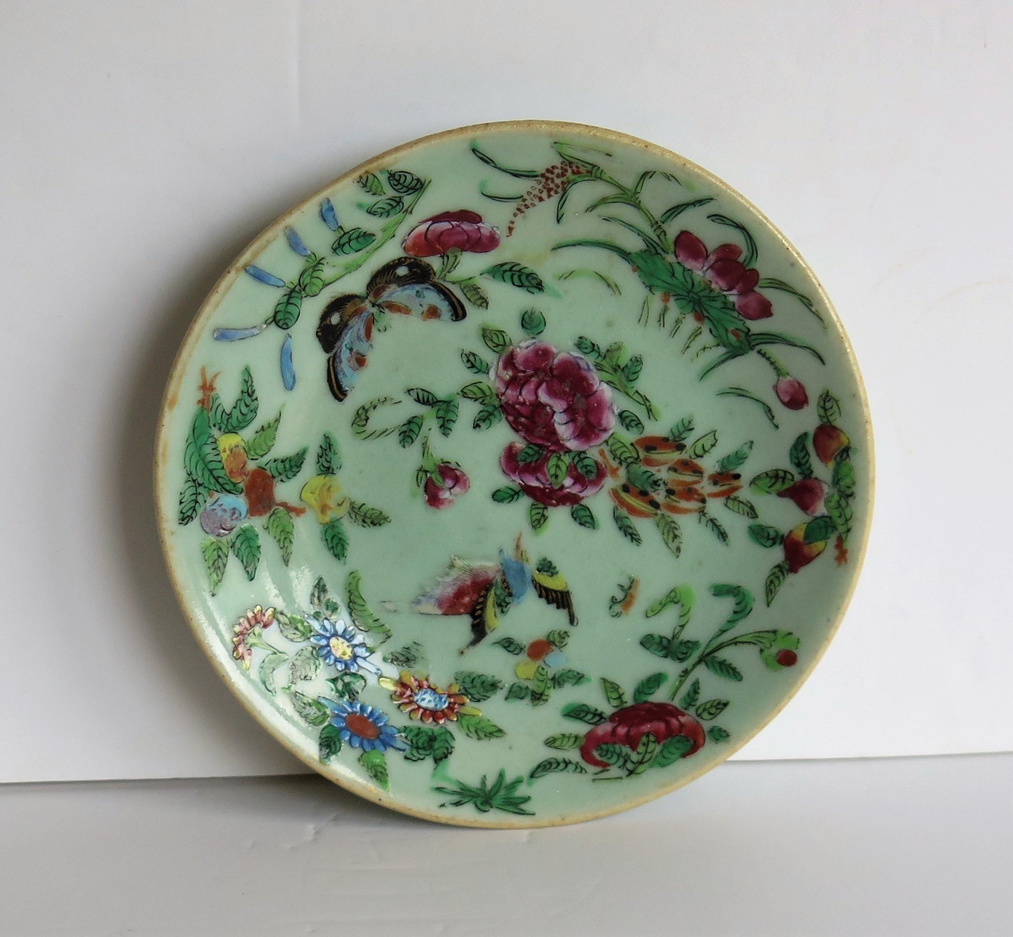 This is a good 19th century Chinese Export, (Canton) small plate or dish, which we date to the early 19th century, circa 1820 of the Qing dynasty.

The plate has a light green, Celadon ground glaze with beautifully hand painted decoration, in