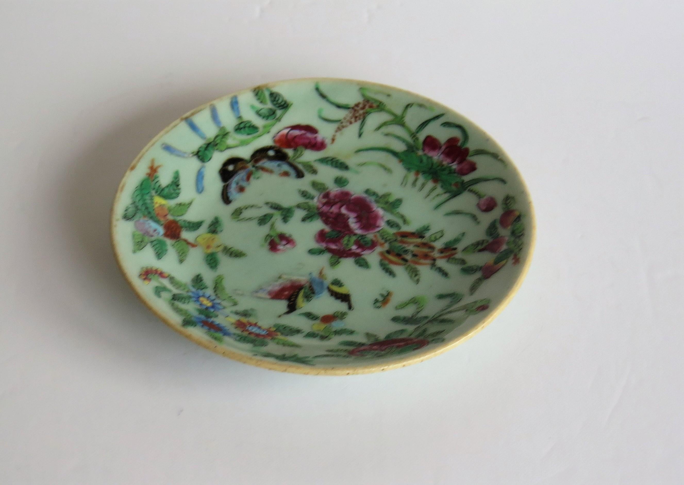 Chinese Export Chinese Porcelain Dish or Plate Celadon Glaze Hand Painted, Qing, circa 1820 