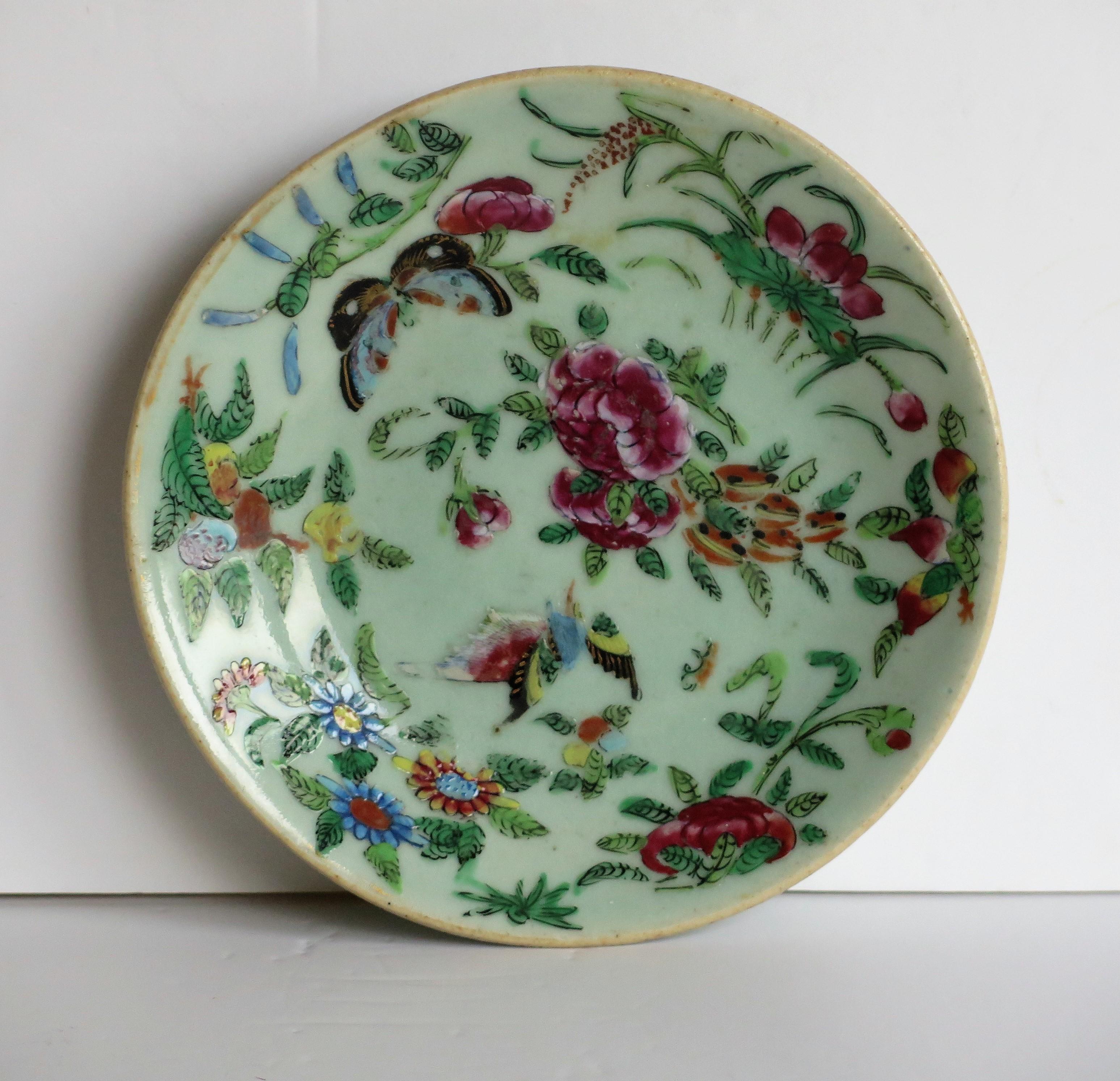 Chinese Porcelain Dish or Plate Celadon Glaze Hand Painted, Qing, circa 1820 2