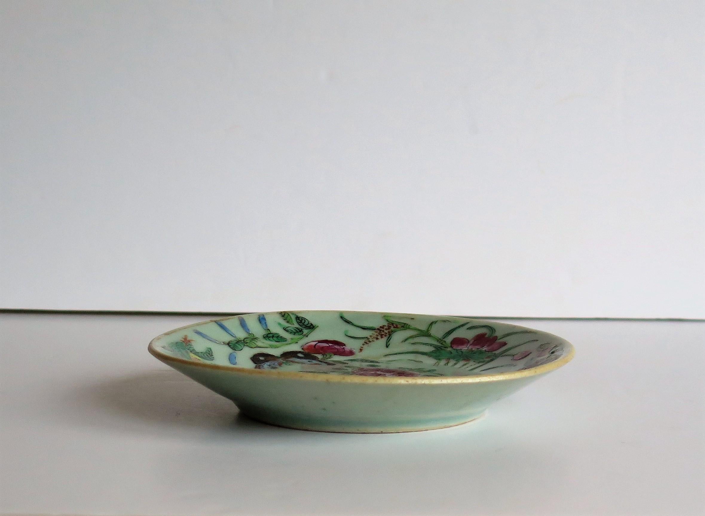 Chinese Porcelain Dish or Plate Celadon Glaze Hand Painted, Qing, circa 1820  3