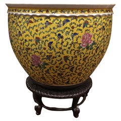 Ceramics