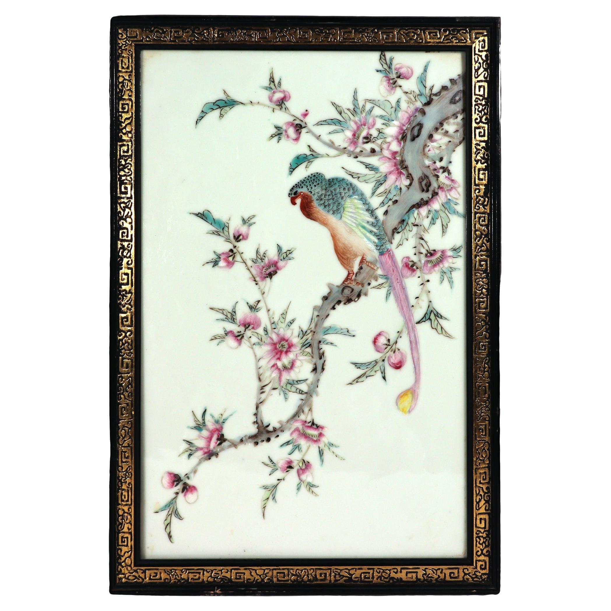 Chinese Porcelain Framed Famille Rose Plaque of Long Tailed Hawk on a Rose Tree  For Sale