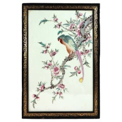 Chinese Porcelain Framed Famille Rose Plaque of Long Tailed Hawk on a Rose Tree 