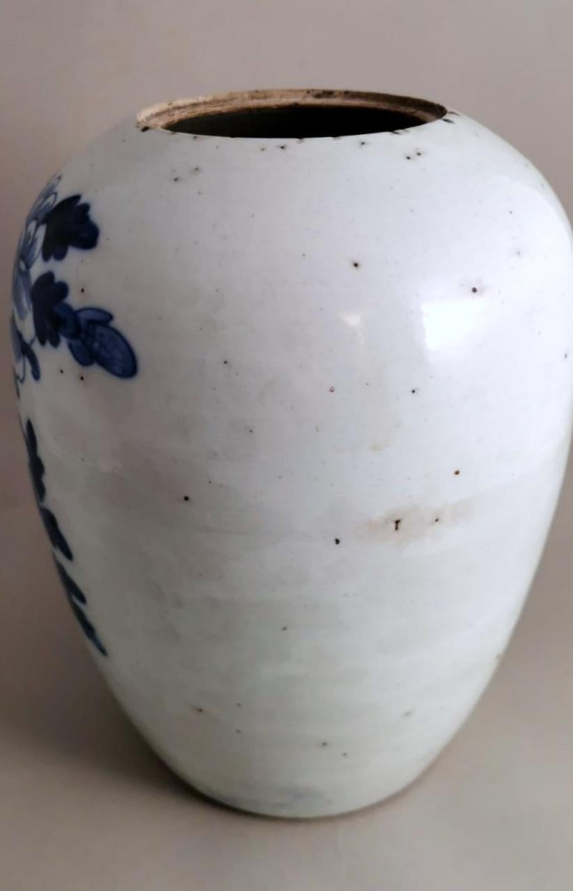 Chinese Porcelain Ginger Jar With Lid Cobalt Blue Decorations 5