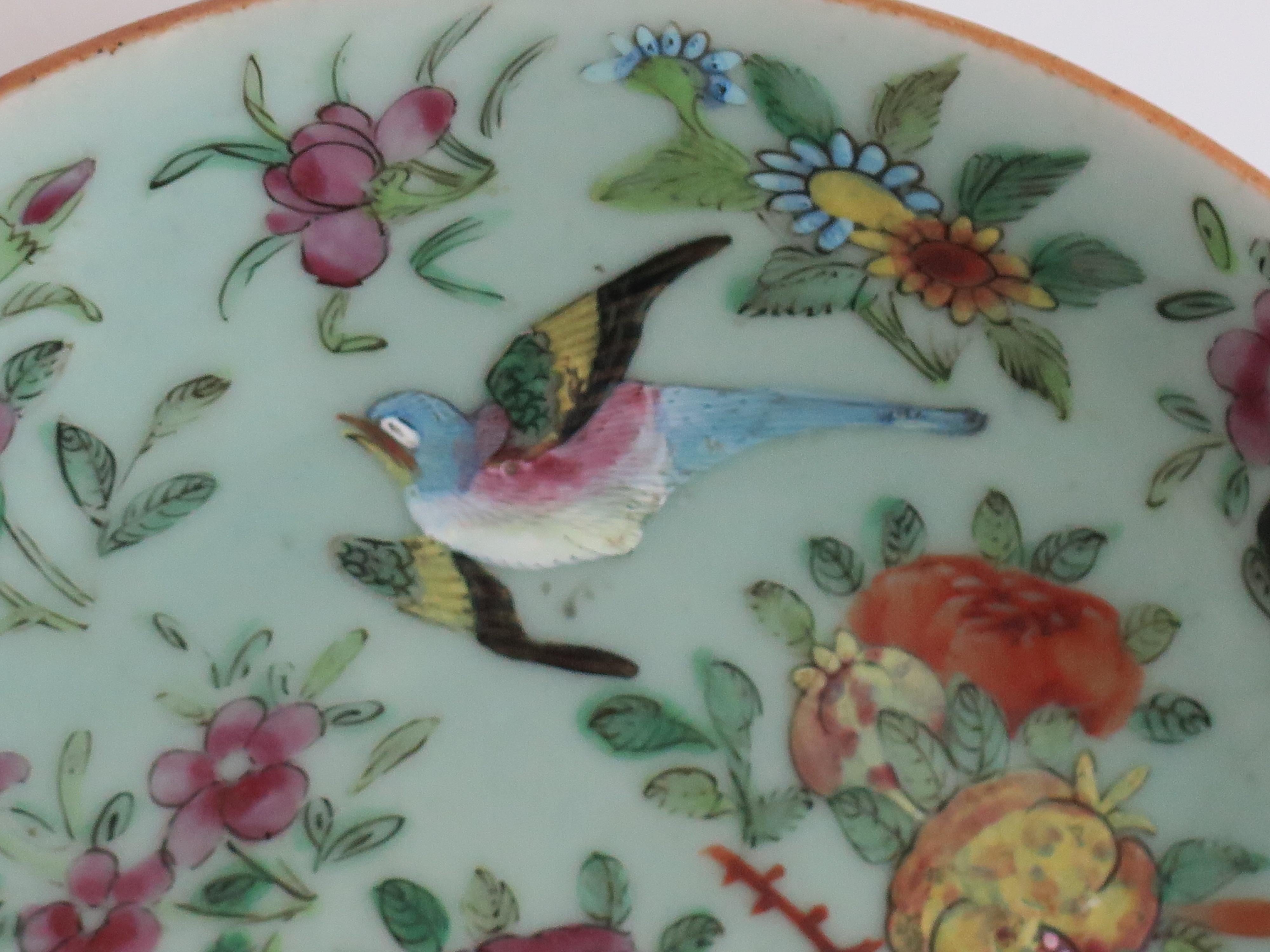 Plato o fuente grande de porcelana china Celadon Famille Rose pintado a mano, ca 1820 en venta 4