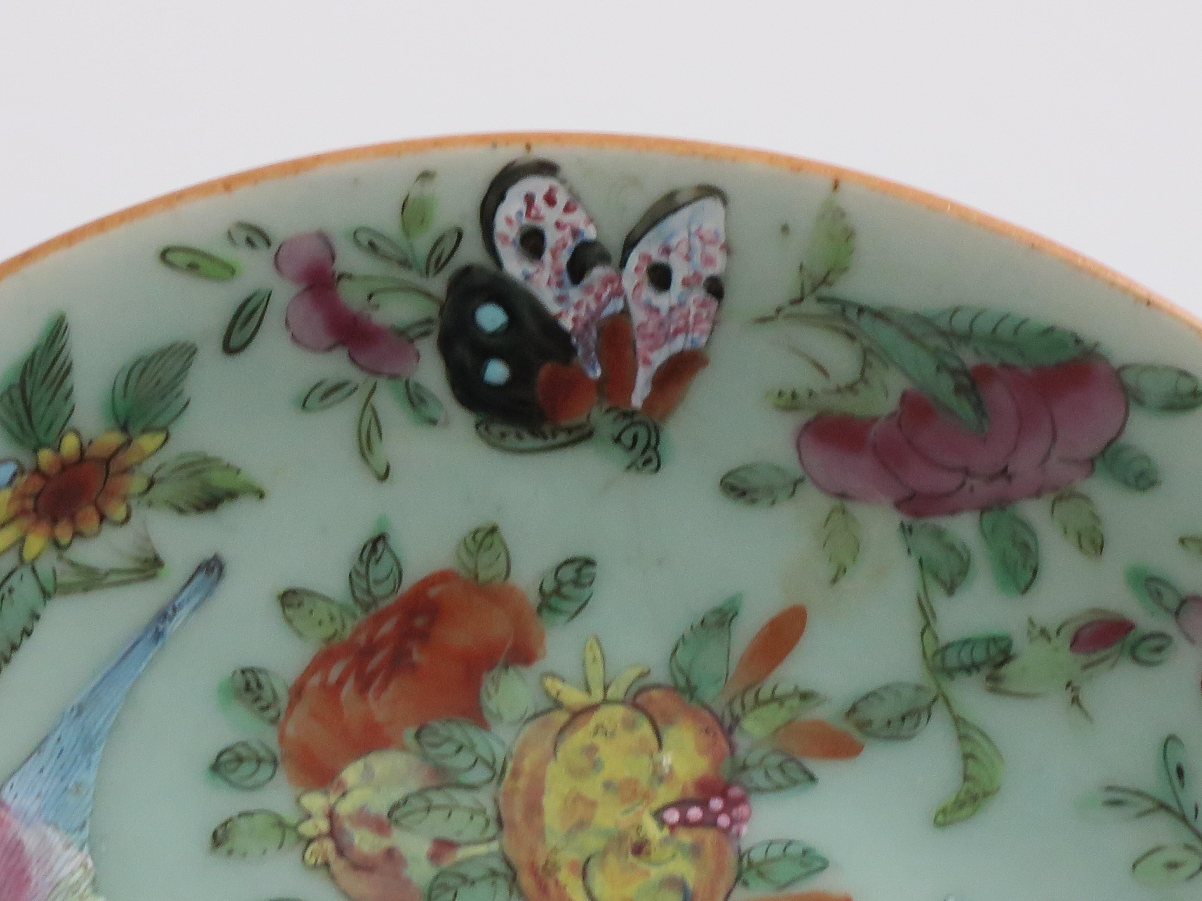 Plato o fuente grande de porcelana china Celadon Famille Rose pintado a mano, ca 1820 en venta 5