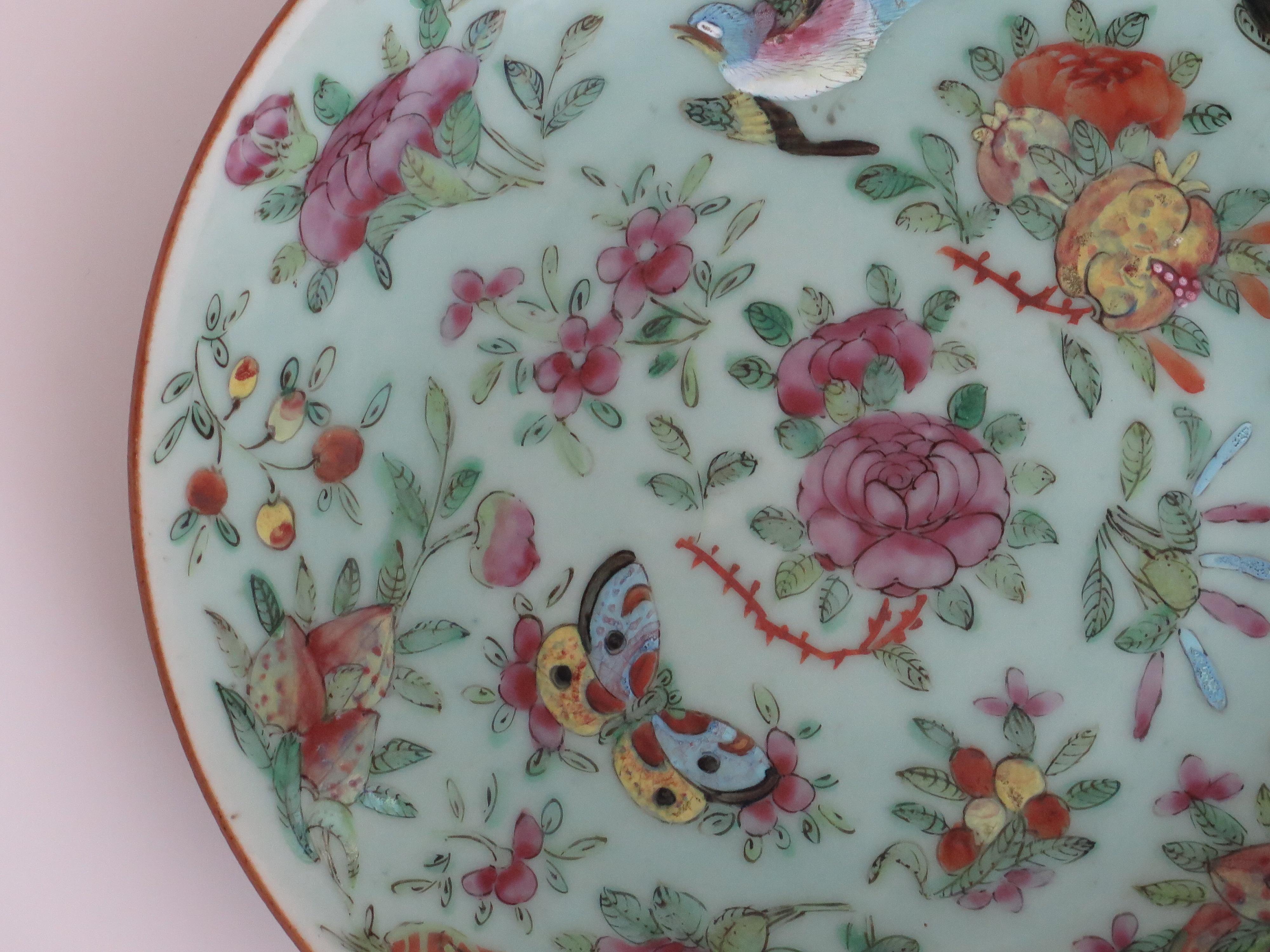 Plato o fuente grande de porcelana china Celadon Famille Rose pintado a mano, ca 1820 en venta 1
