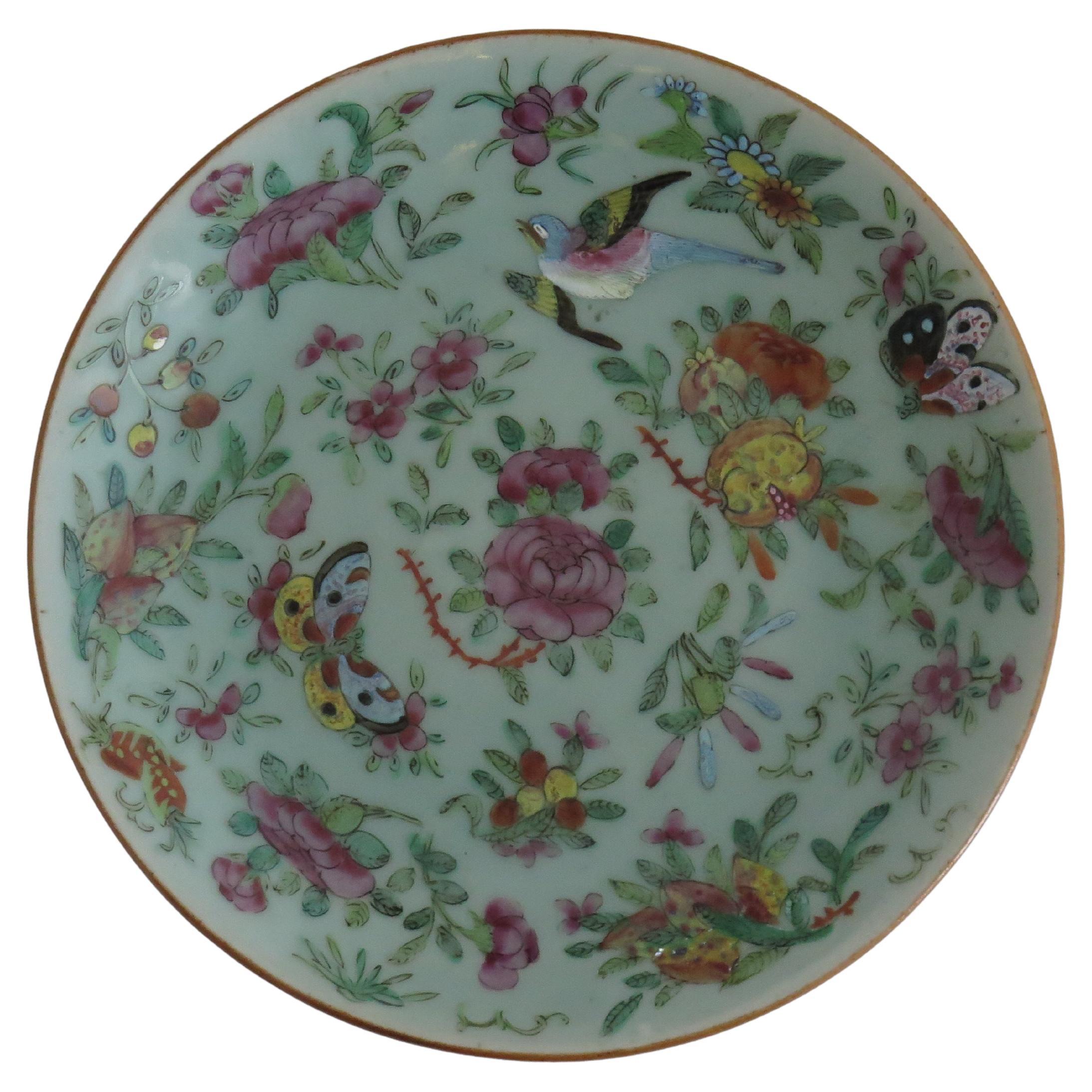 Piatto grande in porcellana cinese Celadon Famille Rose dipinto a mano, 1820 ca.