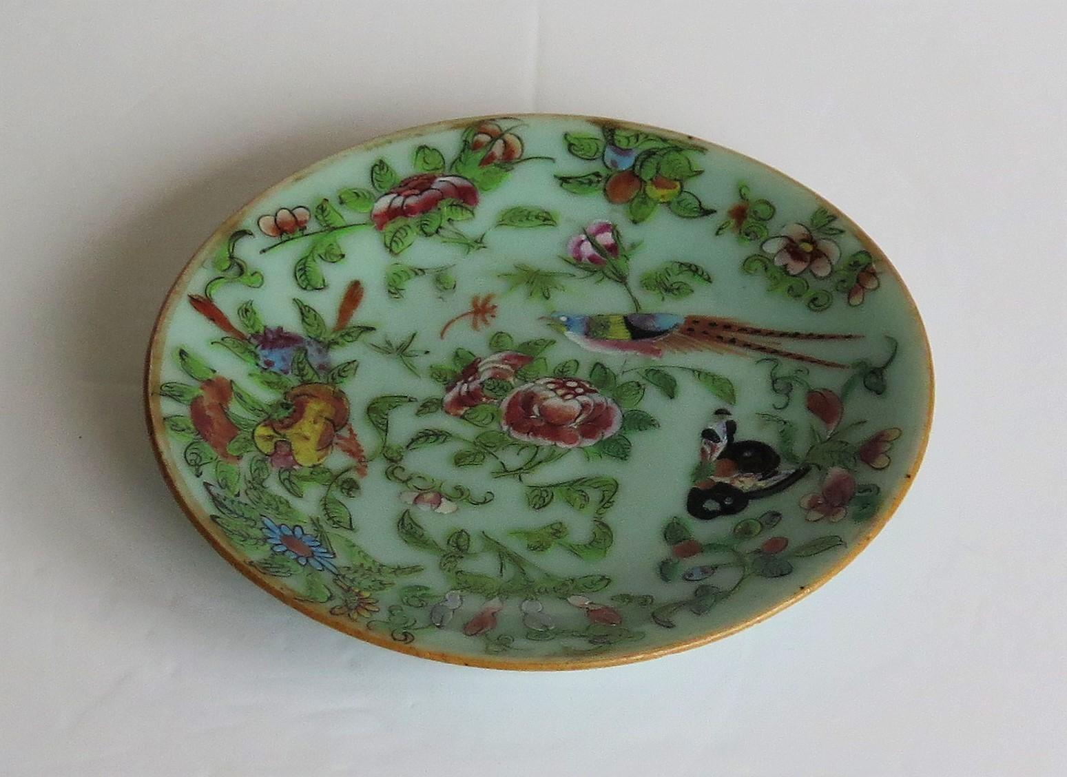 Chinese Porcelain Plate Celadon Famille Rose Hand Painted, circa 1820 1