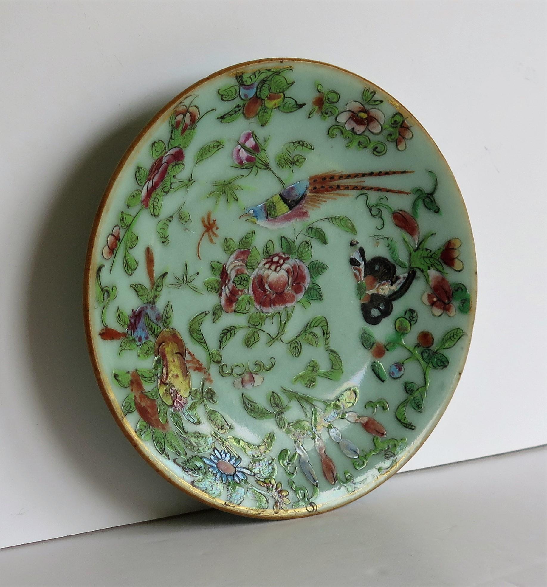 Chinese Export Chinese Porcelain Plate Celadon Famille Rose Hand Painted, circa 1820