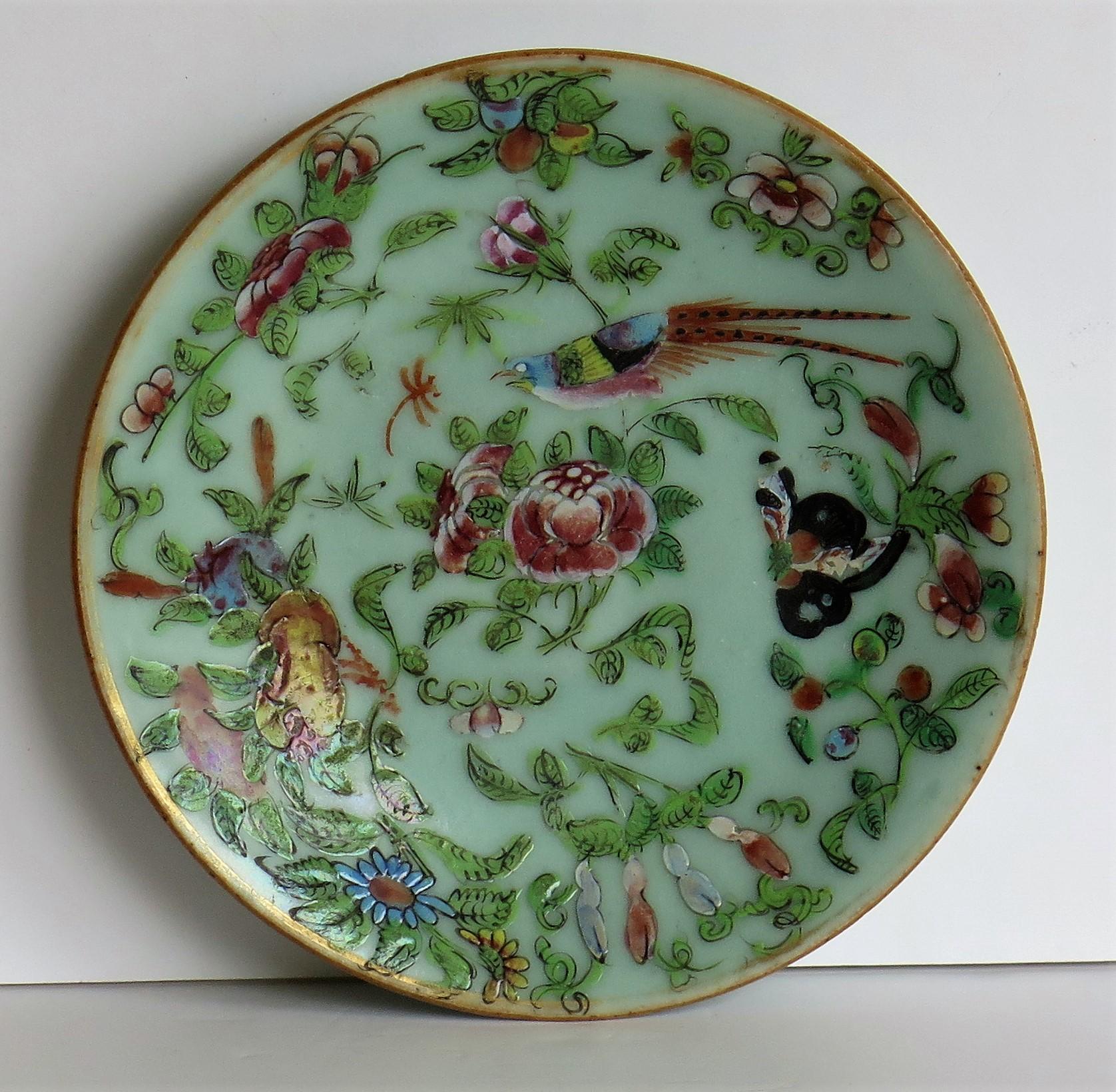 Hand-Painted Chinese Porcelain Plate Celadon Famille Rose Hand Painted, circa 1820
