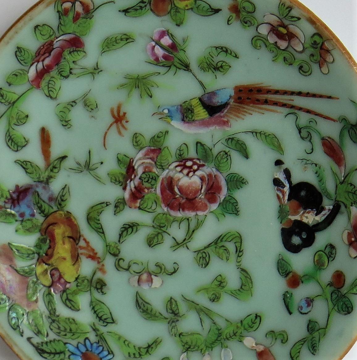 19th Century Chinese Porcelain Plate Celadon Famille Rose Hand Painted, circa 1820