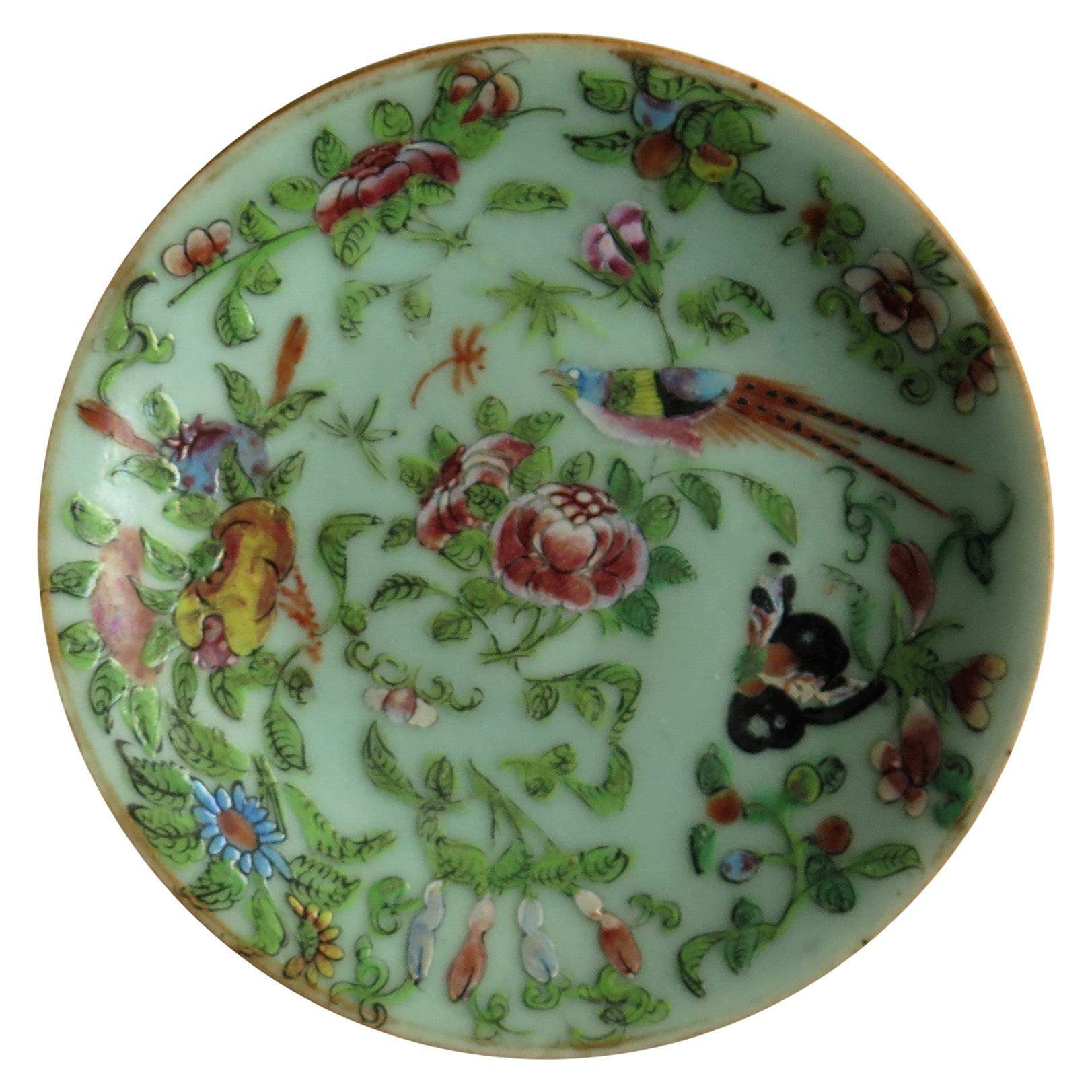 Chinese Porcelain Plate Celadon Famille Rose Hand Painted, circa 1820