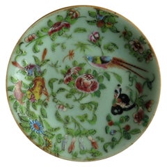 Chinese Porcelain Plate Celadon Famille Rose Hand Painted, circa 1820