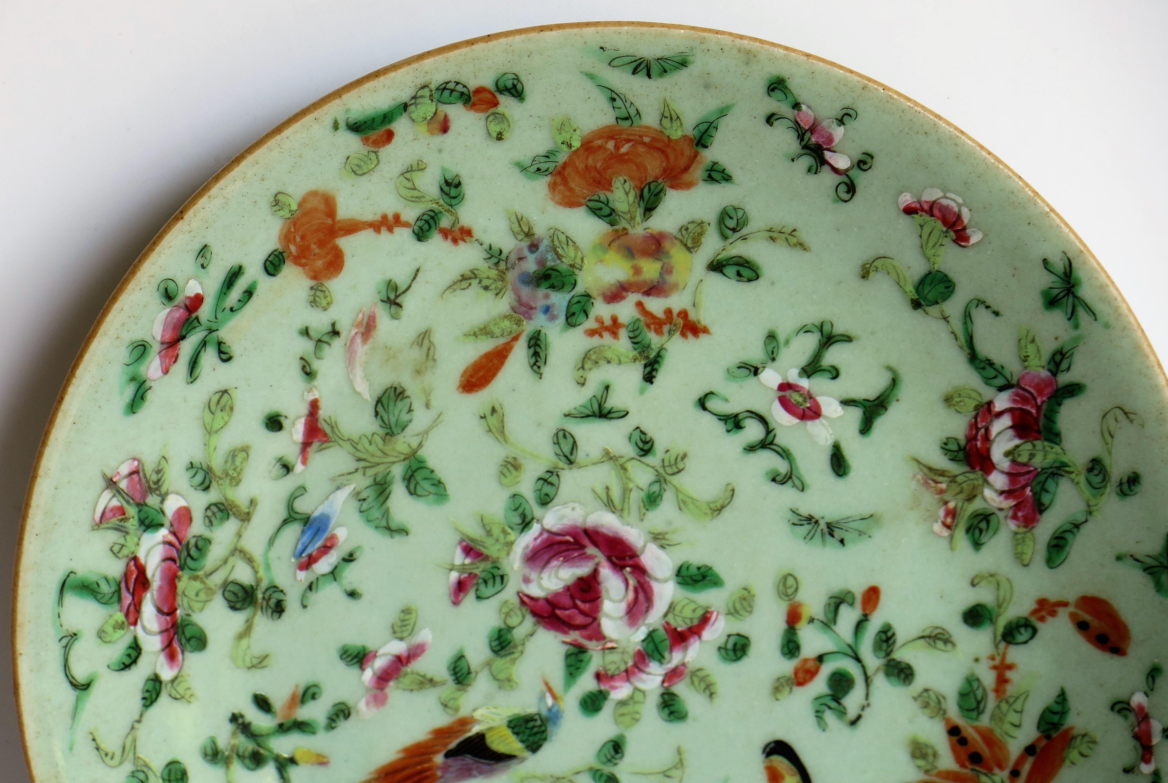 Chinese Porcelain Plate or Dish Celadon Glaze Hand Painted, Qing, circa 1820 5