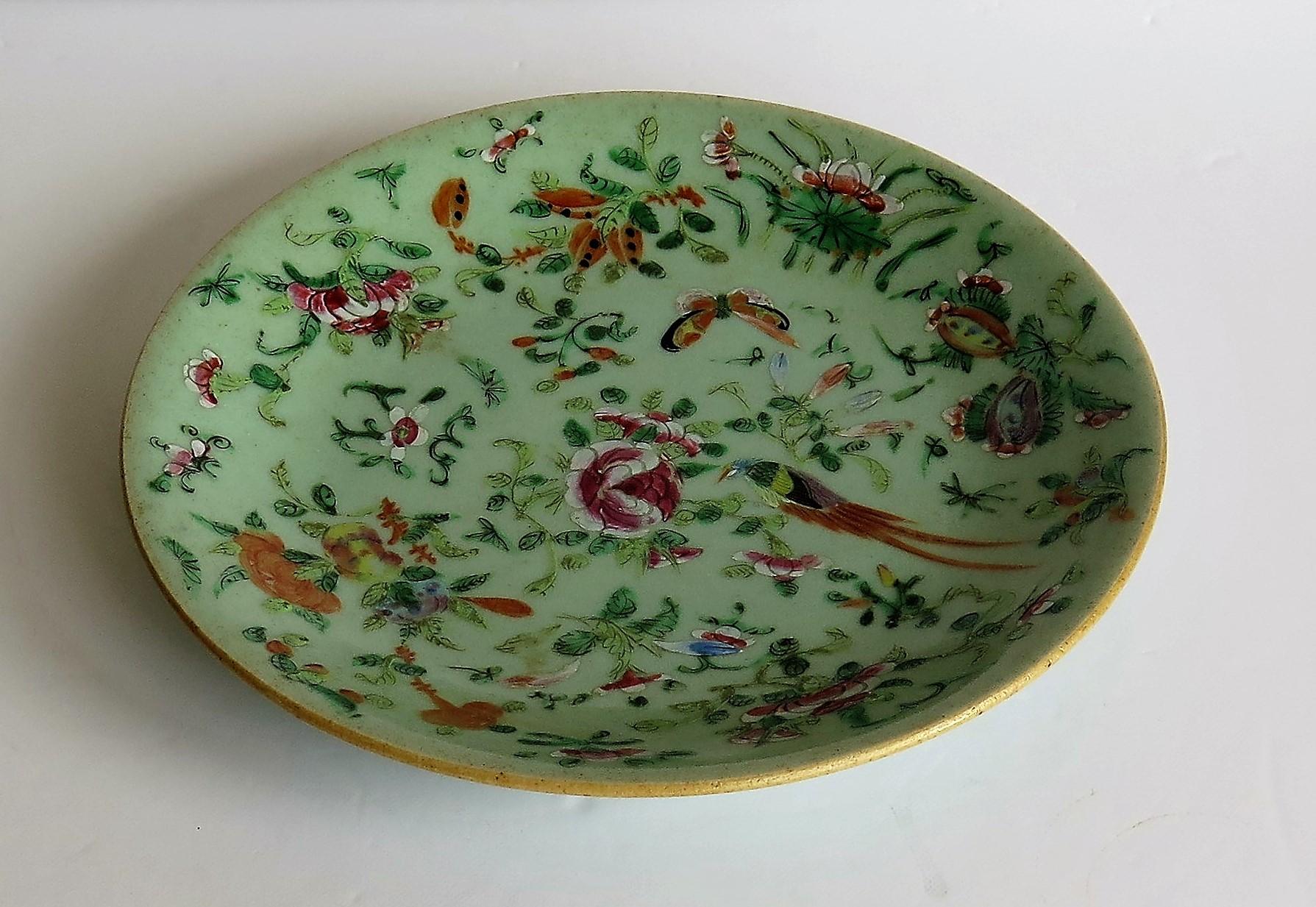 Chinese Porcelain Plate or Dish Celadon Glaze Hand Painted, Qing, circa 1820 7