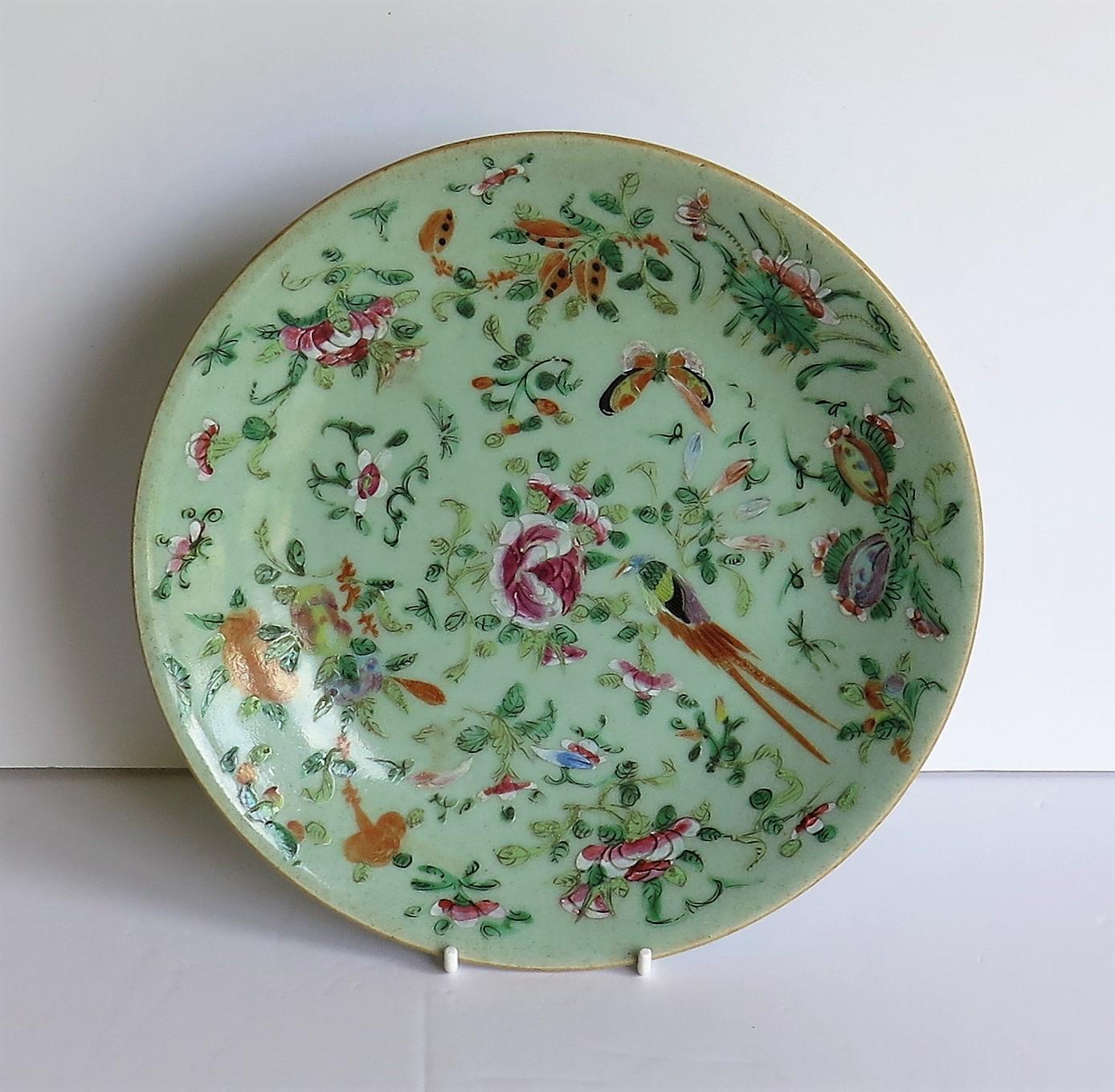 This is a very good 19th century Chinese Export, (Canton) deep plate or dish, which we date to the early 19th century, circa 1820 of the Qing dynasty.

The plate has a light green, Celadon ground glaze with beautifully hand painted decoration, in