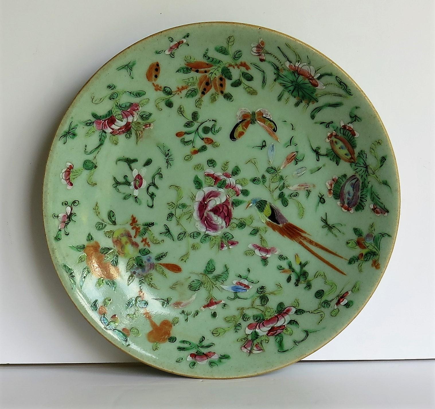 chinese celadon plate
