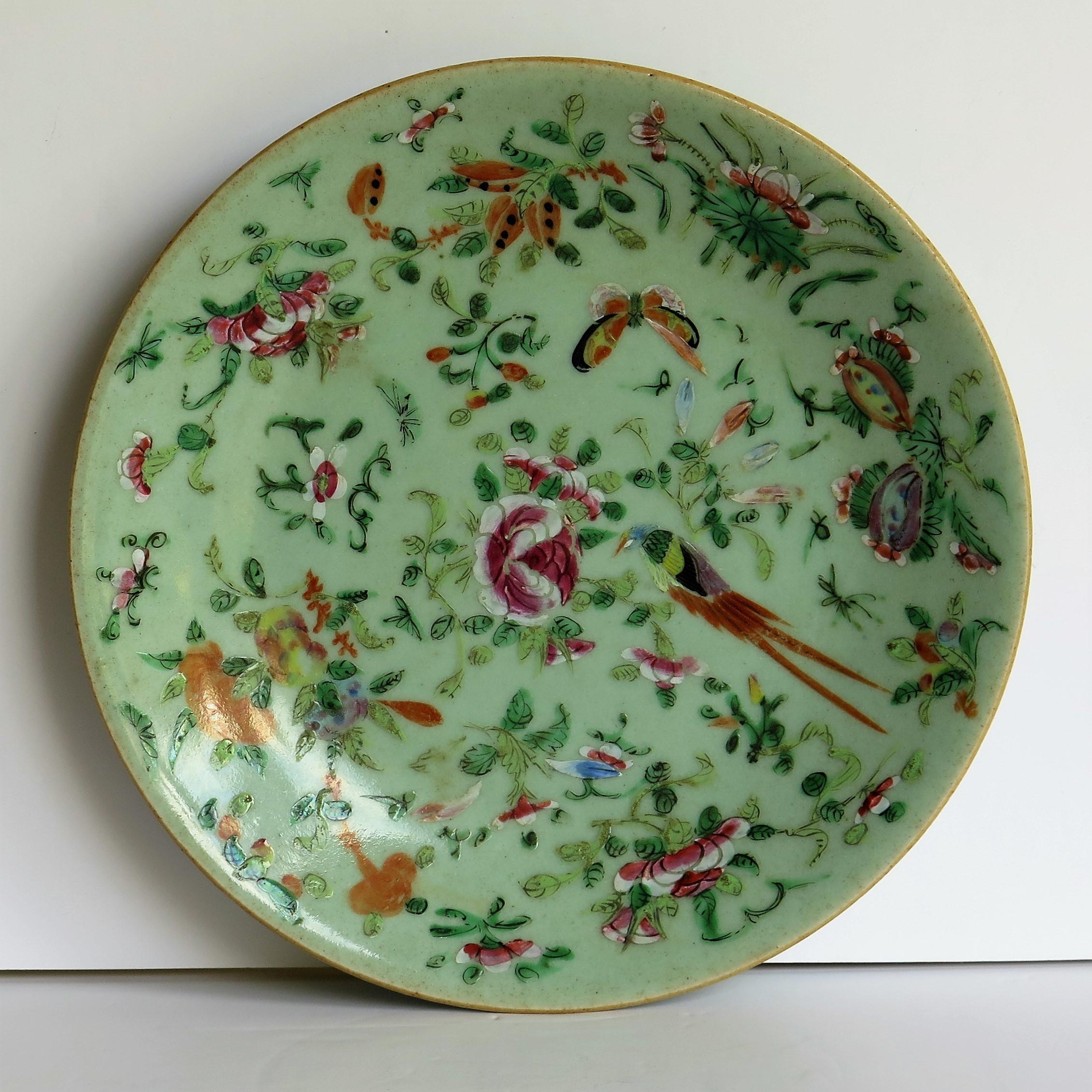 Hand-Painted Chinese Porcelain Plate or Dish Celadon Glaze Hand Painted, Qing, circa 1820