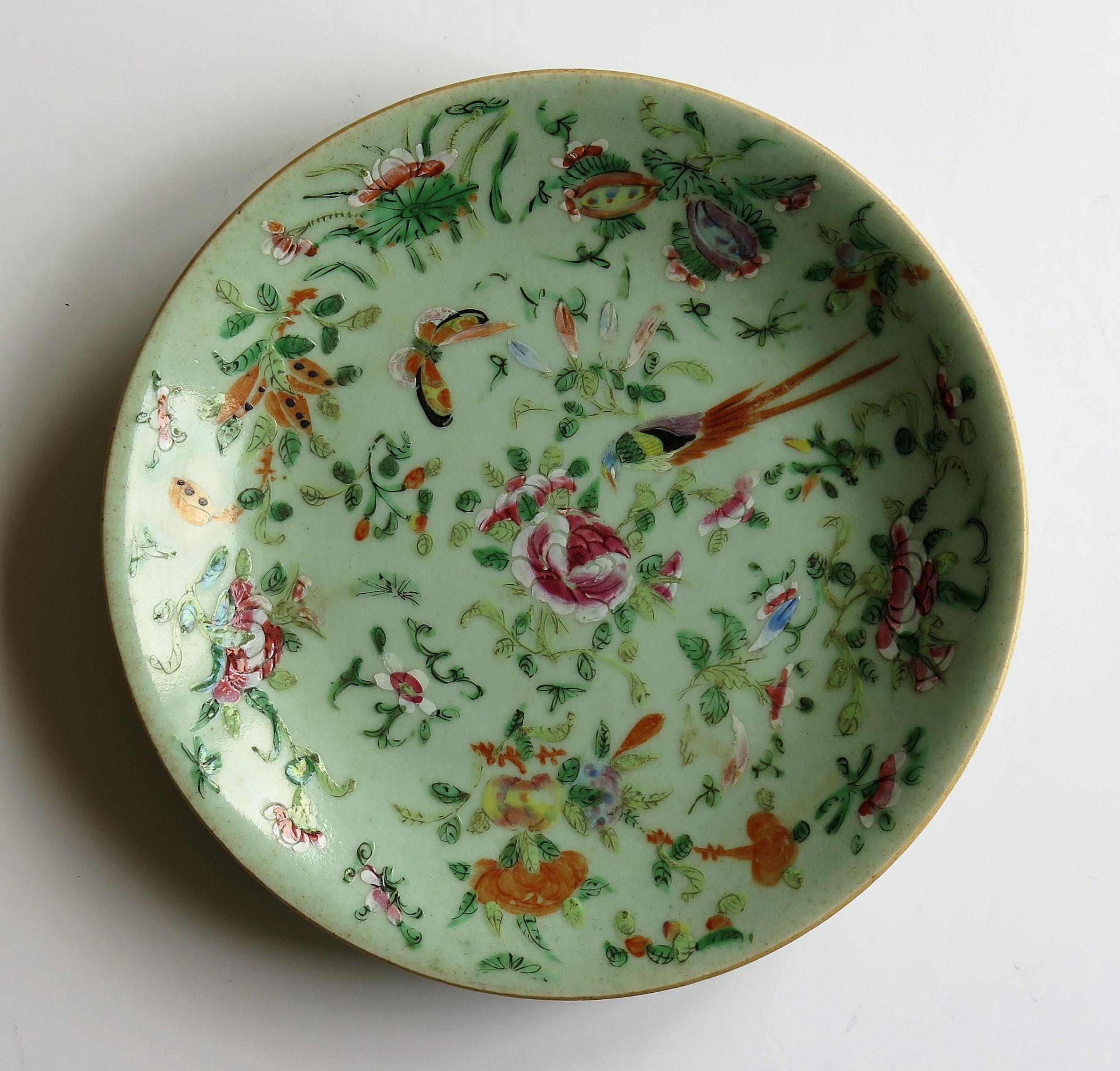 Chinese Porcelain Plate or Dish Celadon Glaze Hand Painted, Qing, circa 1820 In Good Condition In Lincoln, Lincolnshire