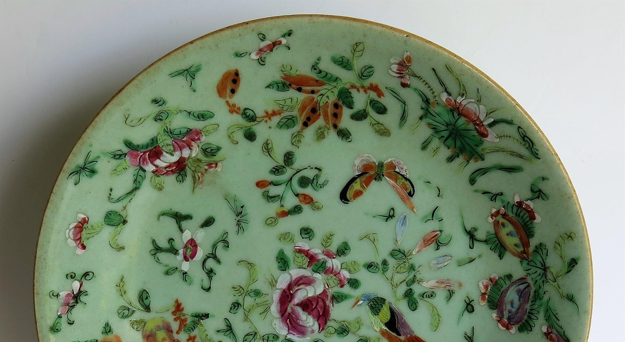 19th Century Chinese Porcelain Plate or Dish Celadon Glaze Hand Painted, Qing, circa 1820
