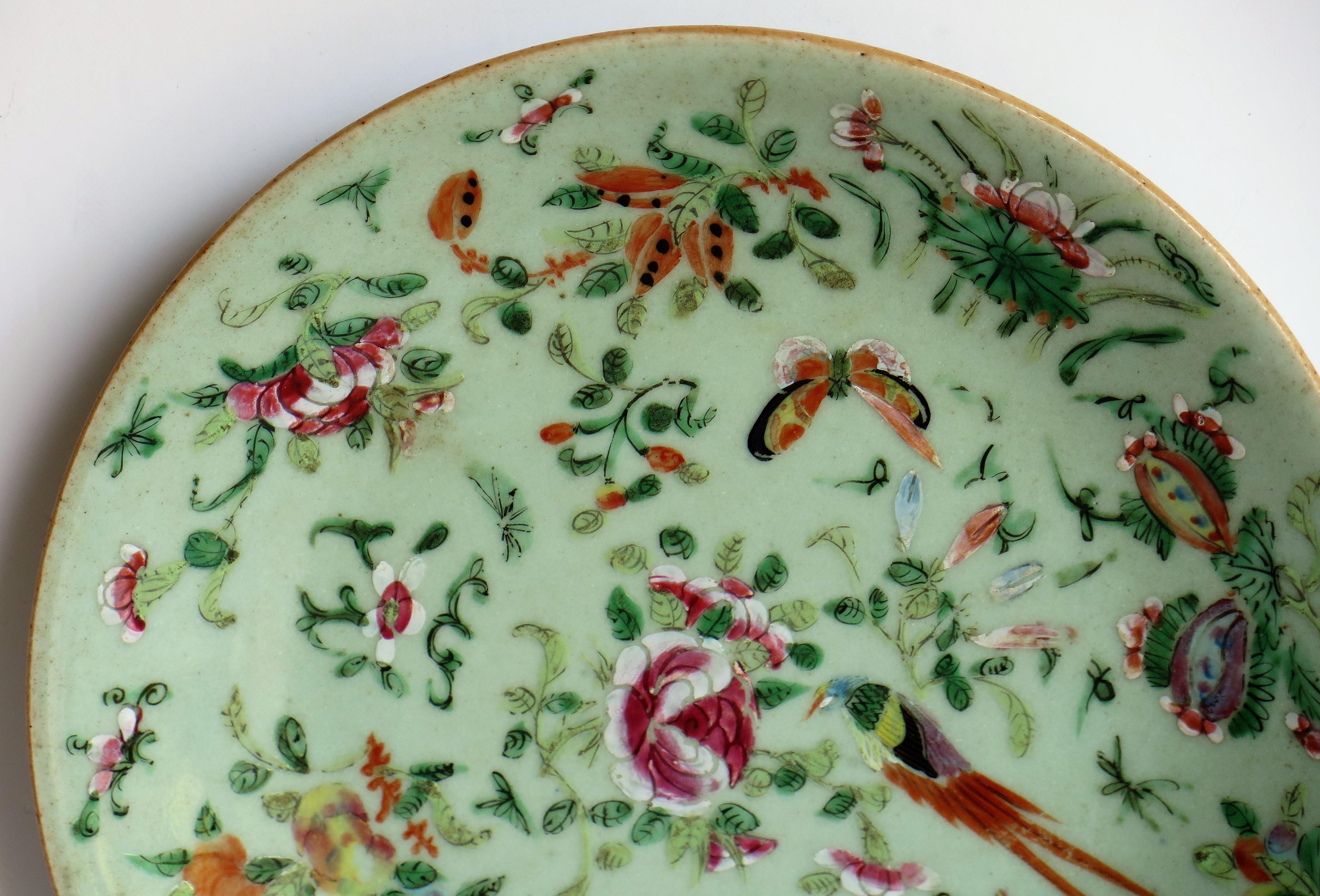 Chinese Porcelain Plate or Dish Celadon Glaze Hand Painted, Qing, circa 1820 1