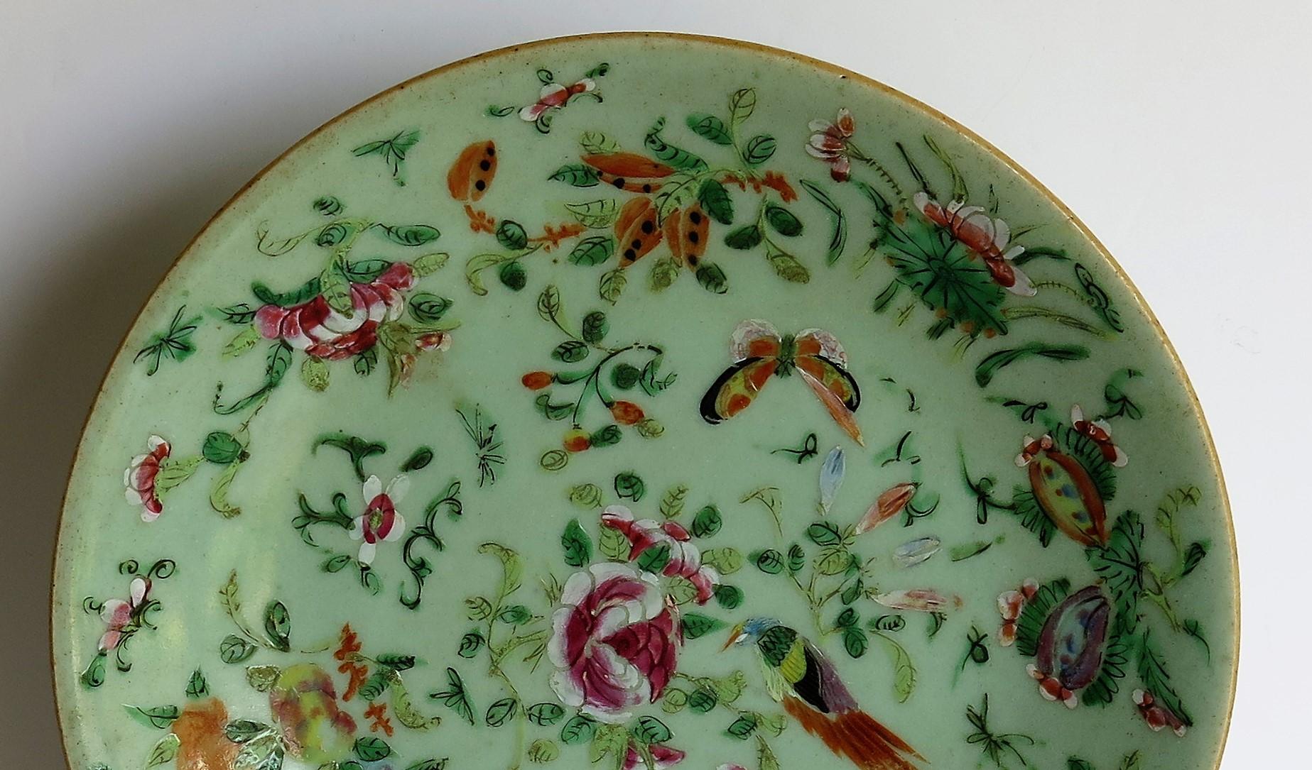 Chinese Porcelain Plate or Dish Celadon Glaze Hand Painted, Qing, circa 1820 3