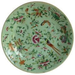 Assiette ou plat en porcelaine chinoise à glaçure céladon peinte à la main:: Qing:: vers 1820