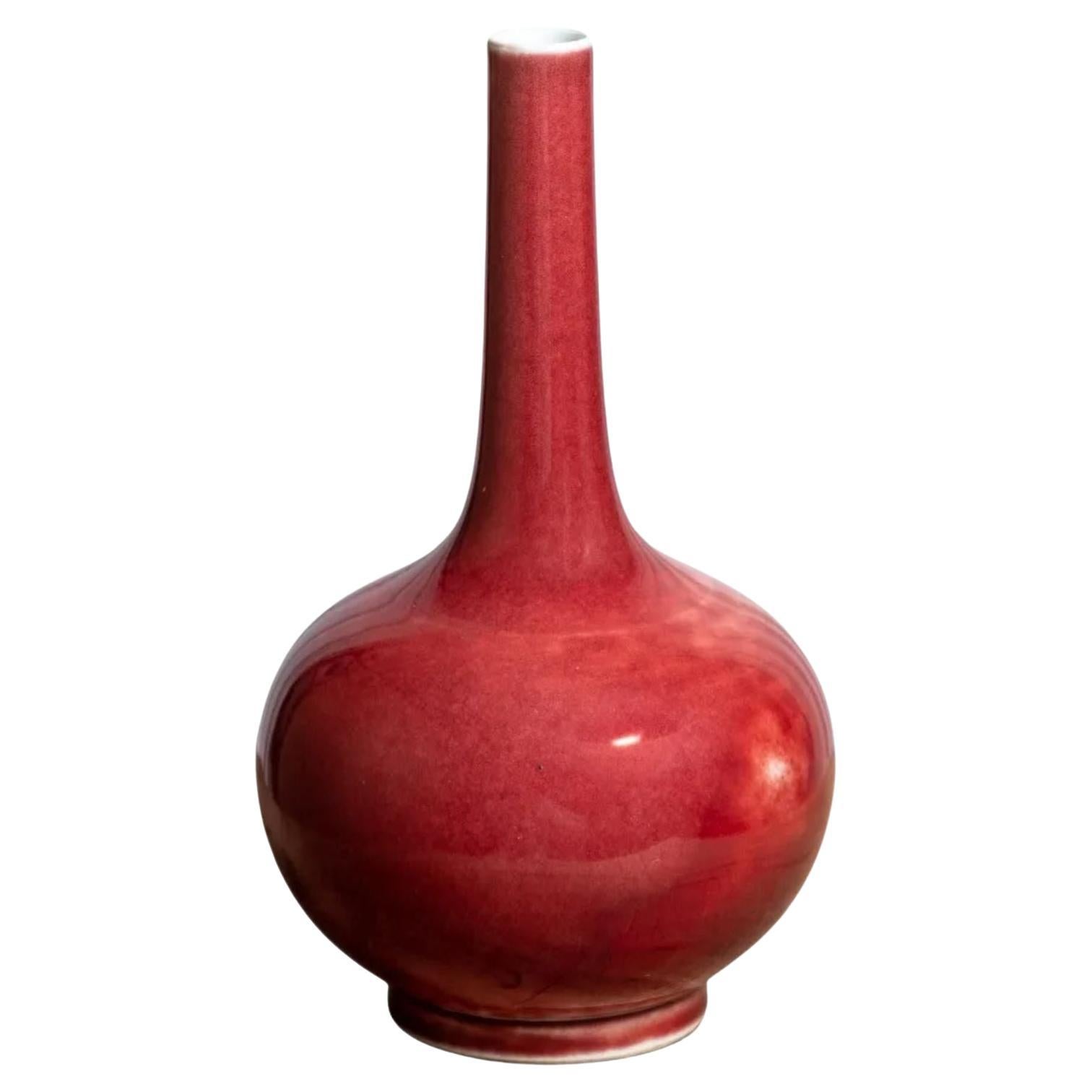 Chinese Porcelain Sang De Bouef Glazed Bottle Vase, 19th Century For Sale