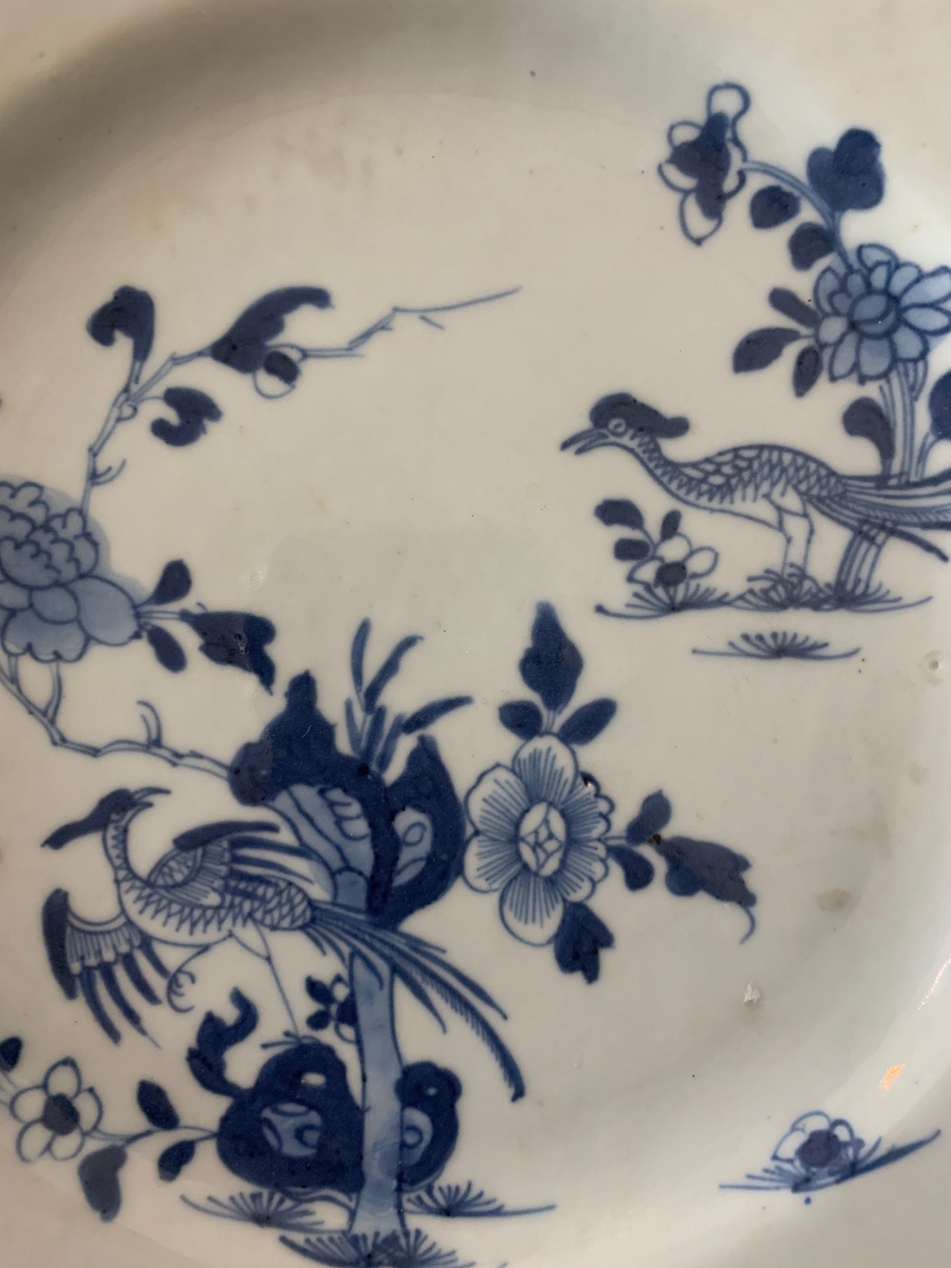 Nice « Blanc Bleu » porcelain plate dating from XIX th century. Blue and white porcelain soup plate. White and blue plate with a couple of peacocks flying through plants and flowers. 

This porcelain is characteristic of the blue family. 
The