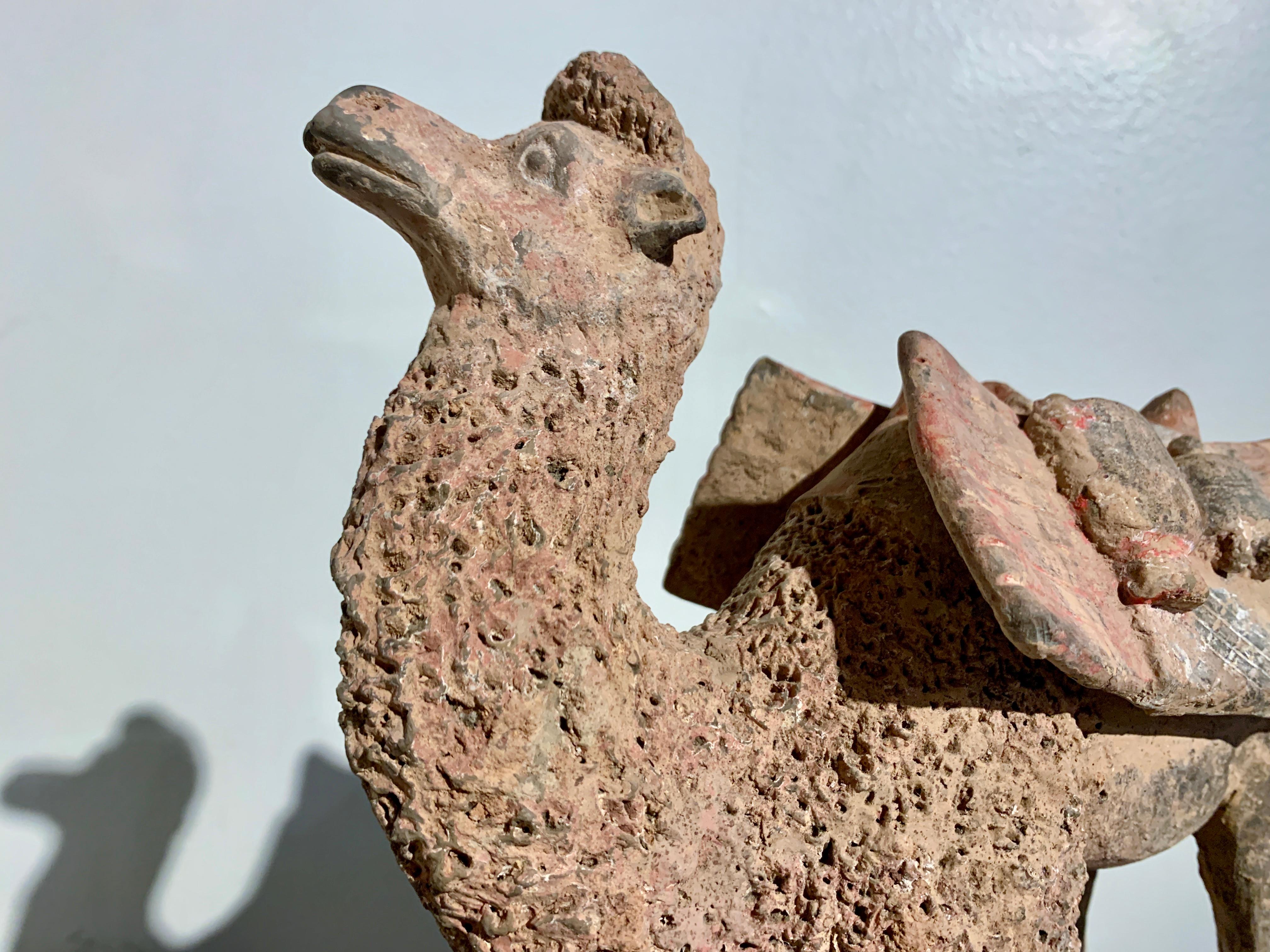 Chinese Pottery Camel, Northern Wei Dynasty (386 - 535 AD), China, TL Tested For Sale 5