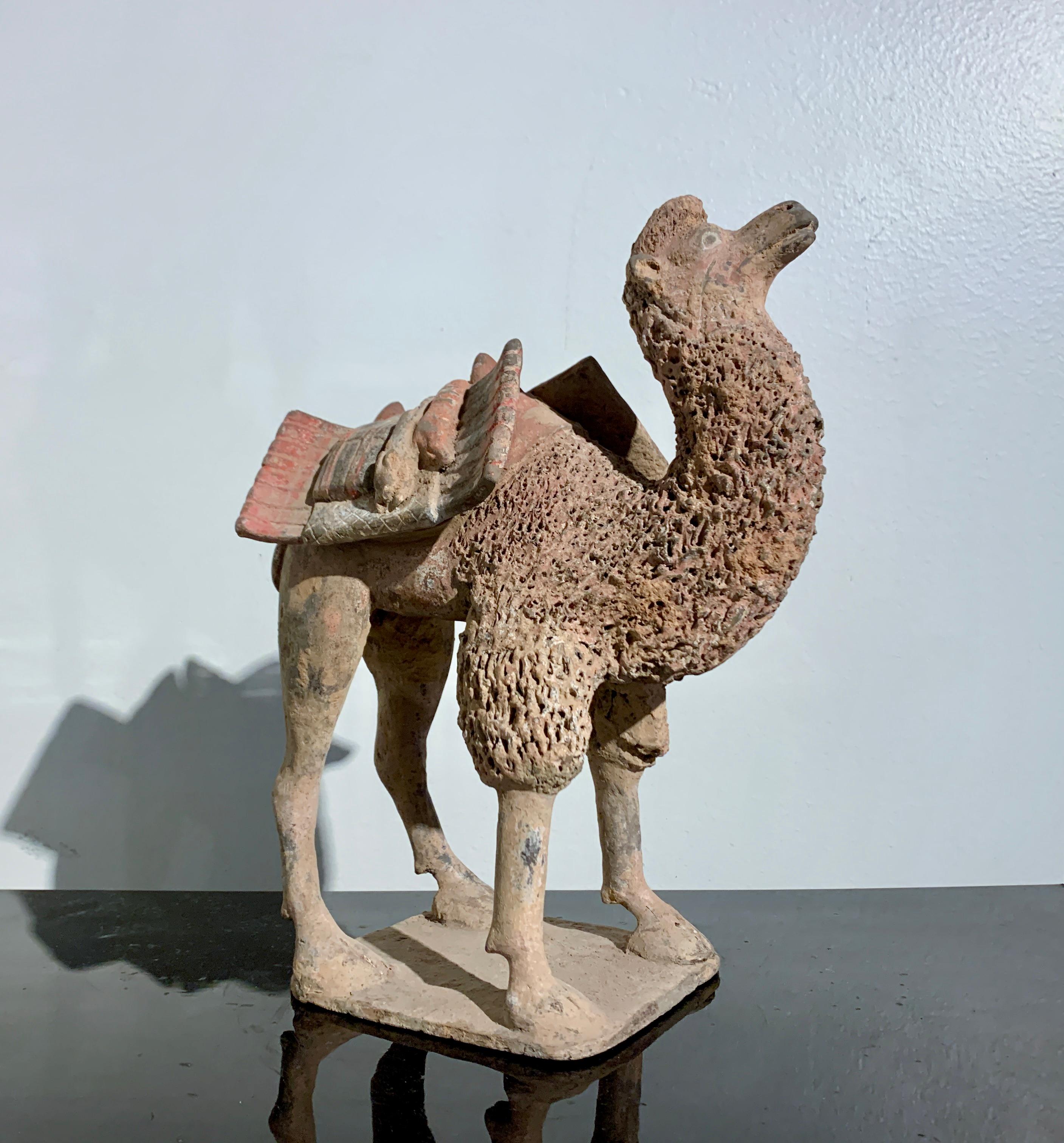 A delightful and rare Chinese painted high fired gray pottery model of a wooly camel, Northern Wei Dynasty (386 - 535 AD), China, with TL test.

The charming camel is portrayed standing foursquare upon a square plinth, its legs slightly splayed to