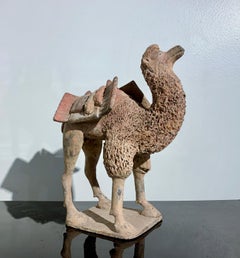 Chinese Pottery Camel, Northern Wei Dynasty (386 - 535 AD), China, TL Tested