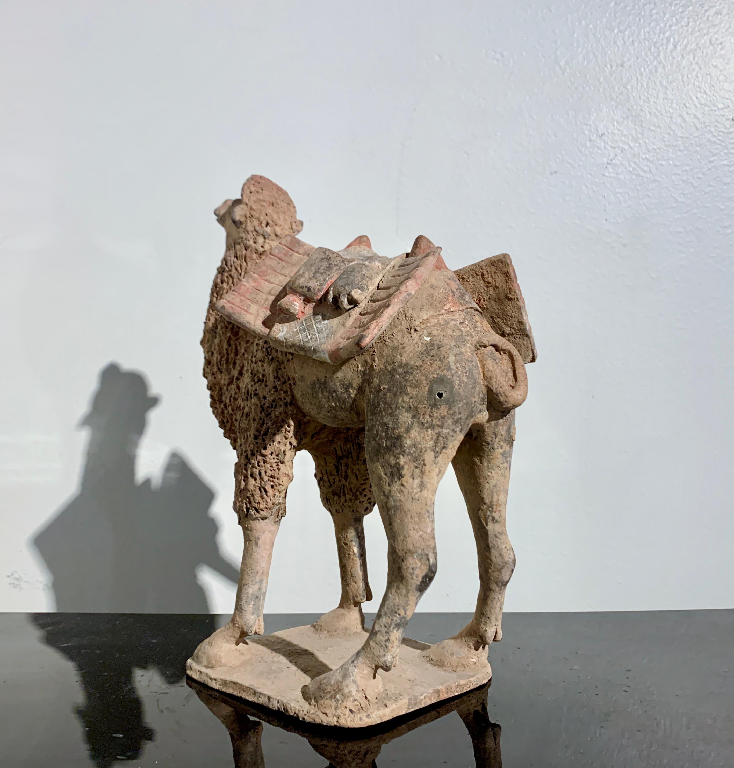 Chinese Pottery Camel, Northern Wei Dynasty (386 - 535 AD), China, TL Tested In Good Condition For Sale In Austin, TX