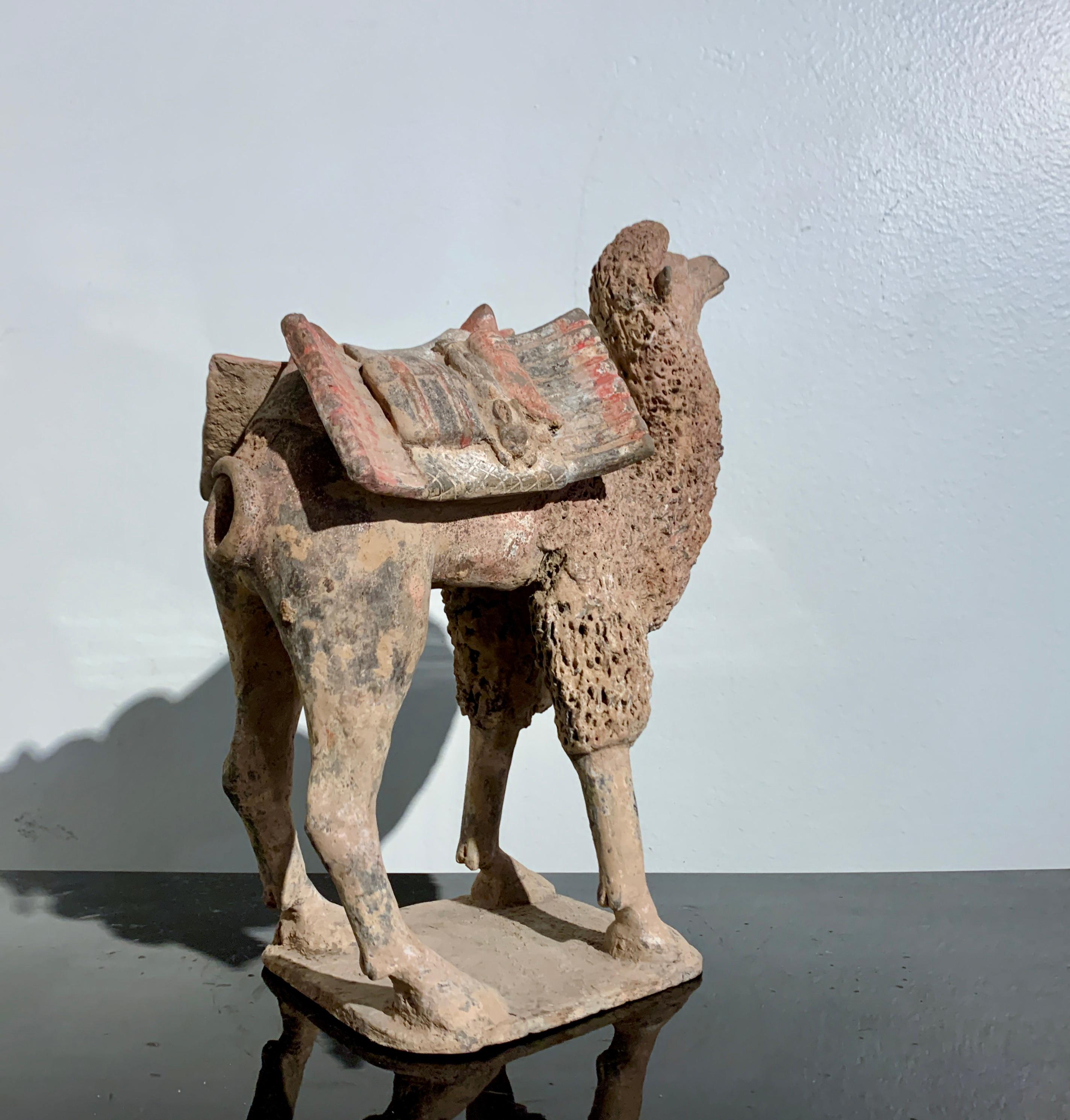 18th Century and Earlier Chinese Pottery Camel, Northern Wei Dynasty (386 - 535 AD), China, TL Tested For Sale